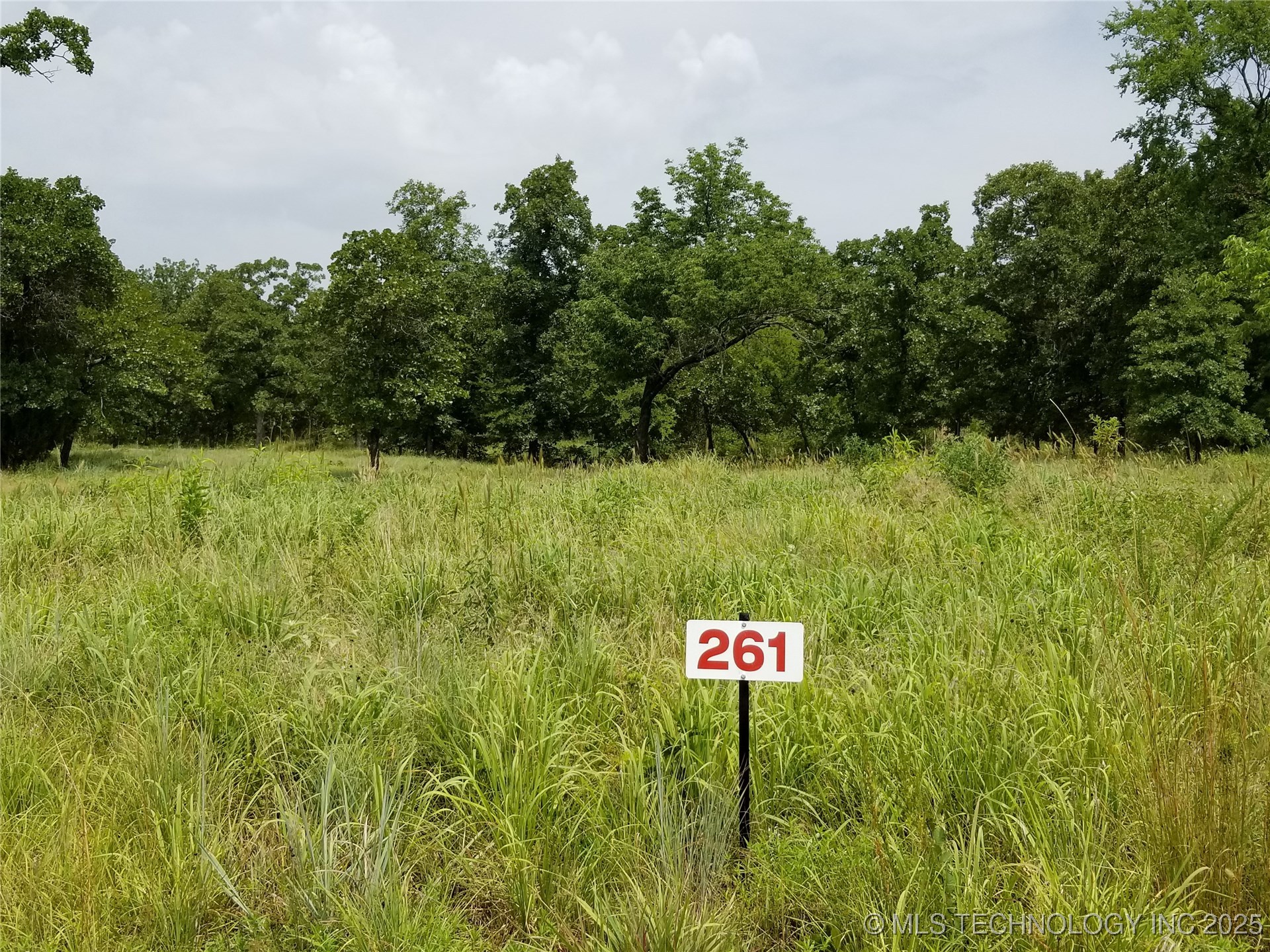 261 Edge Water Road Property Photo 6