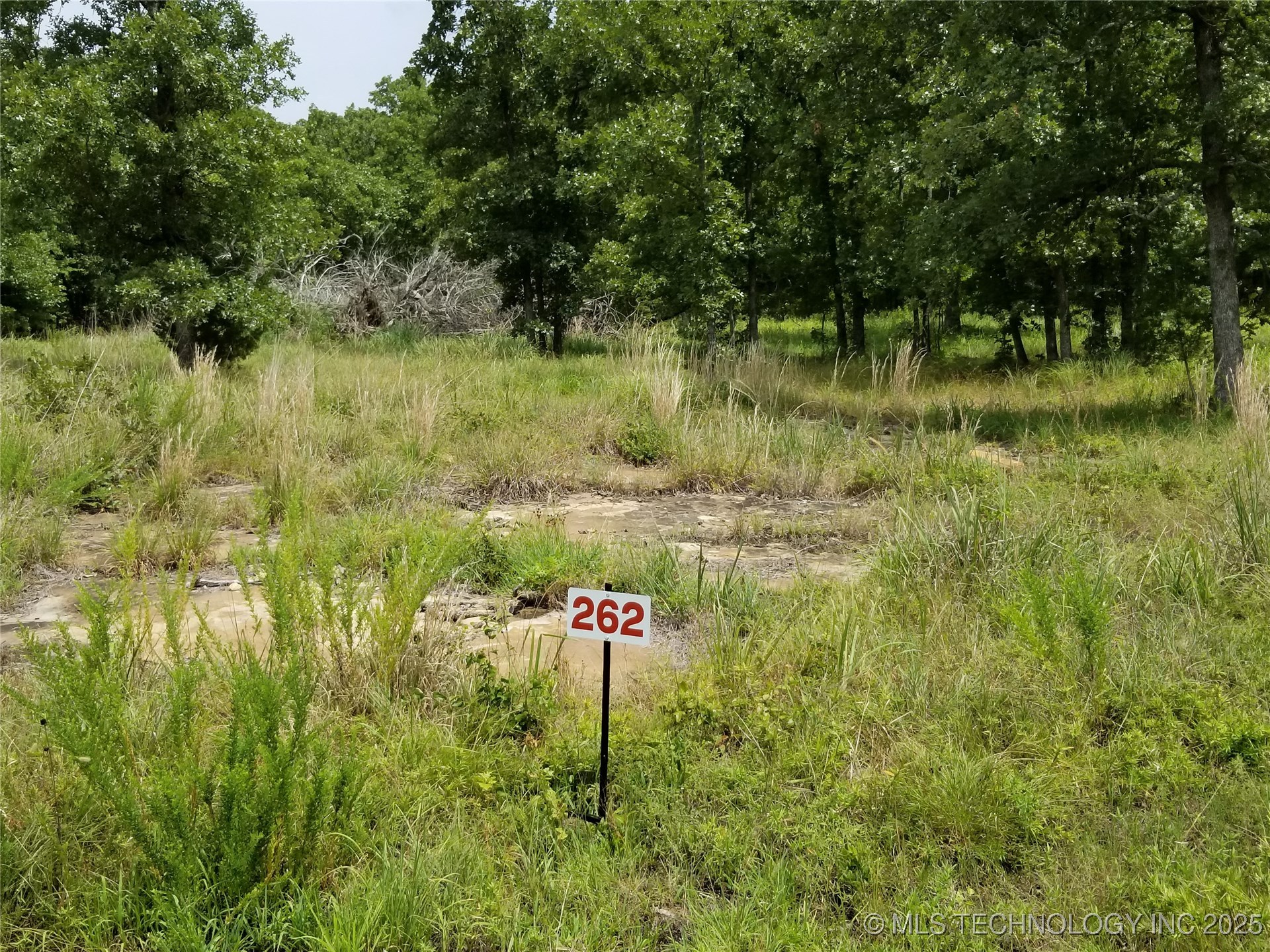 262 Edge Water Road Property Photo 6