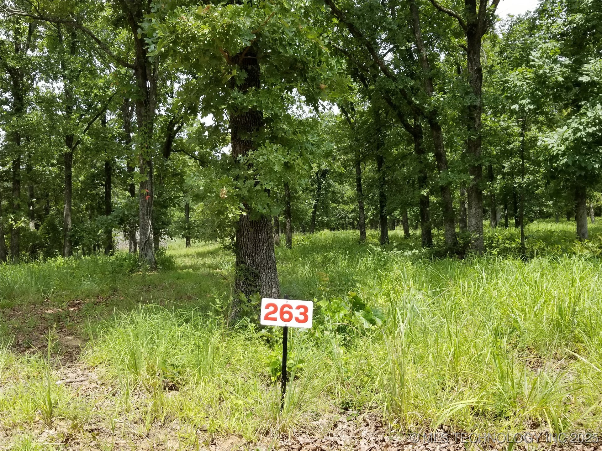 263 Edge Water Road Property Photo 6