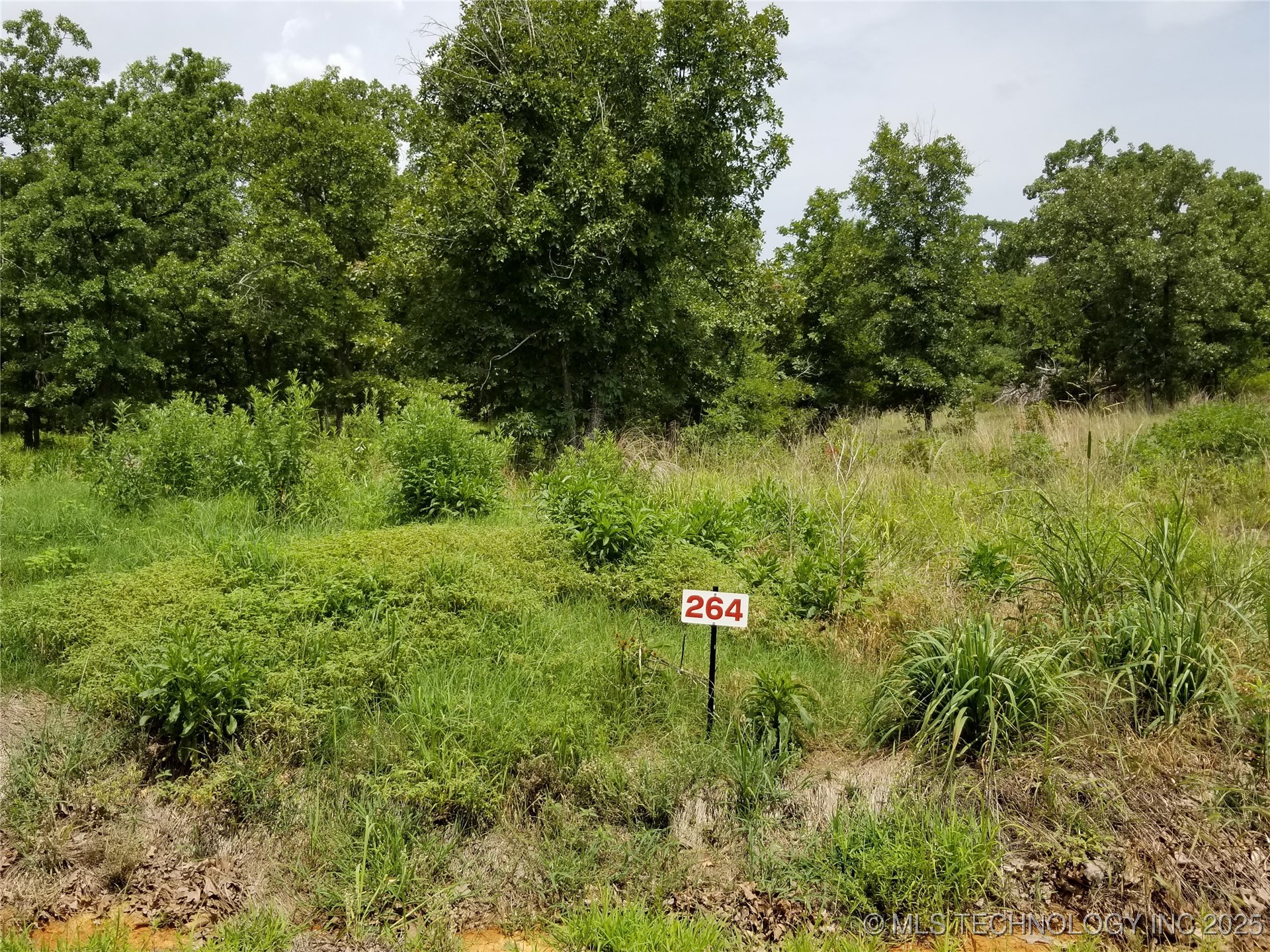 264 Edge Water Road Property Photo 6