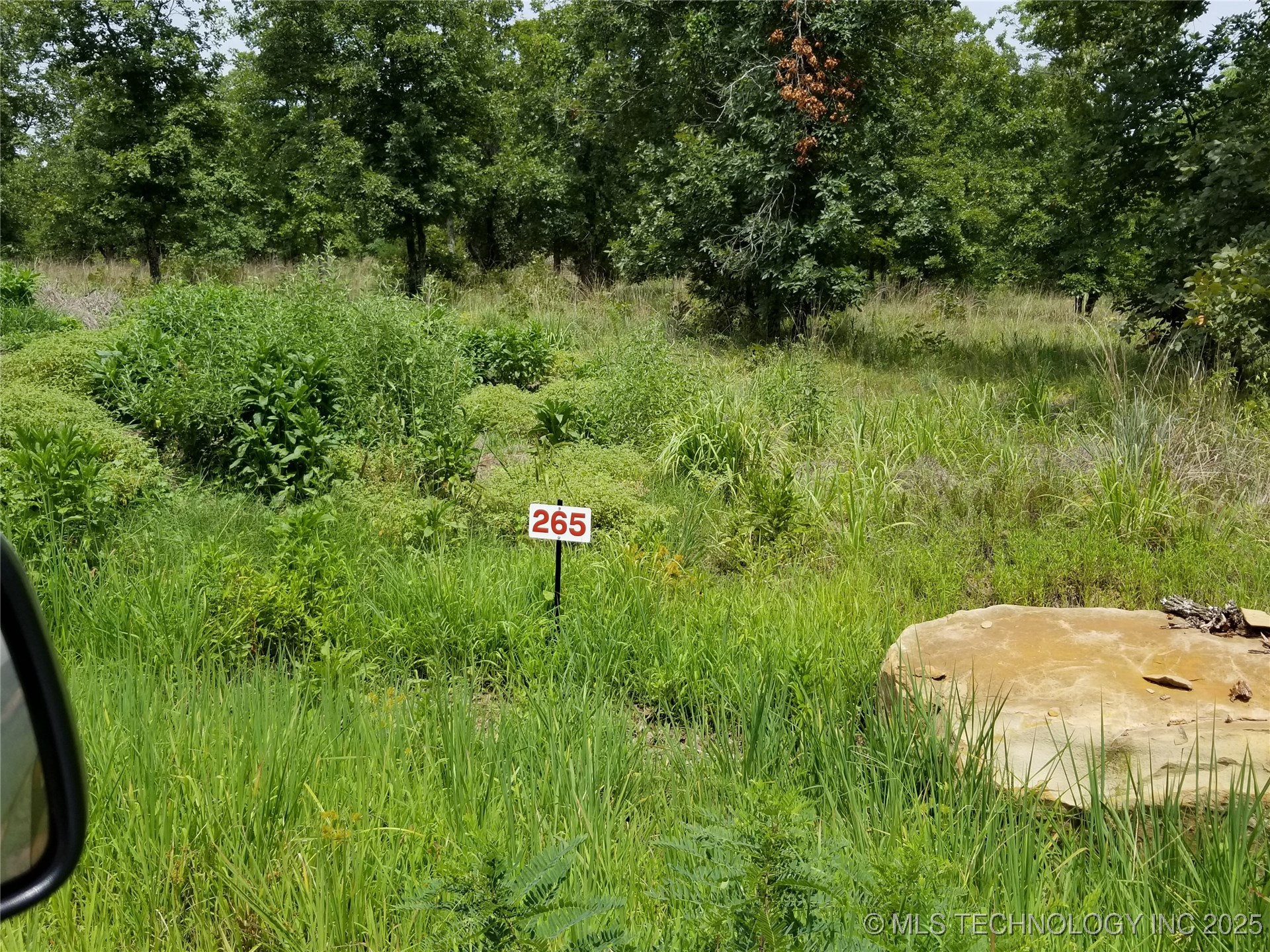 265 Edge Water Road Property Photo 6