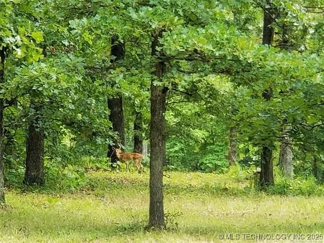 265 Edge Water Road Property Photo 22