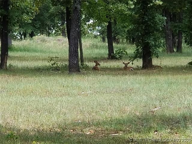 265 Edge Water Road Property Photo 28