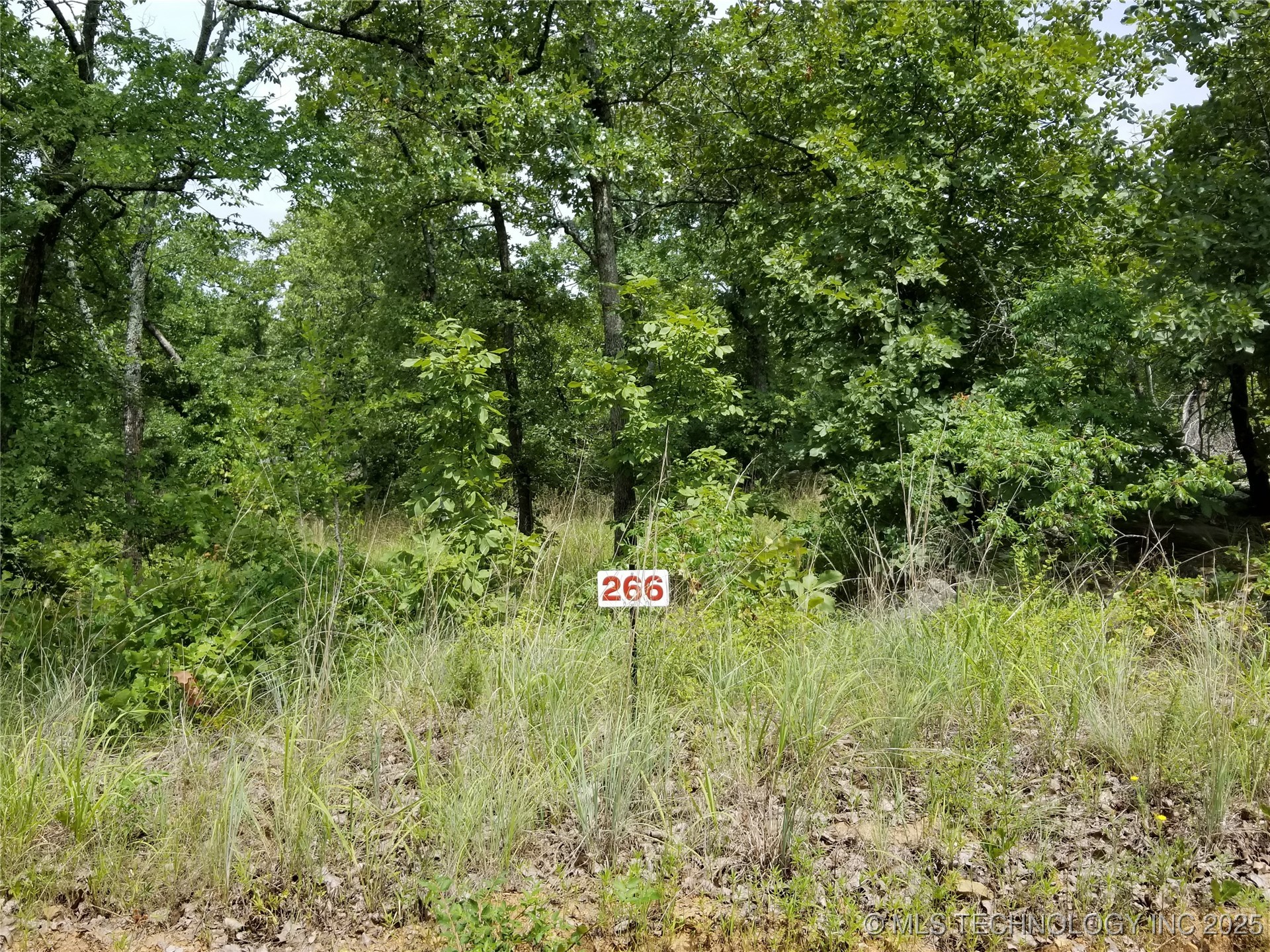 266 Edge Water Road Property Photo 6