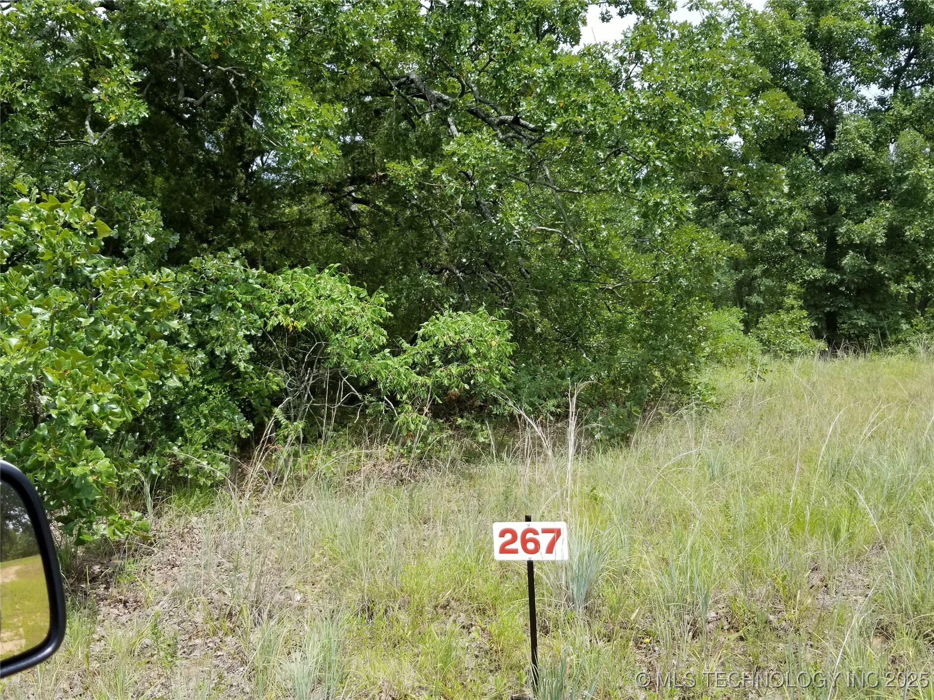 267 Edge Water Road Property Photo 6