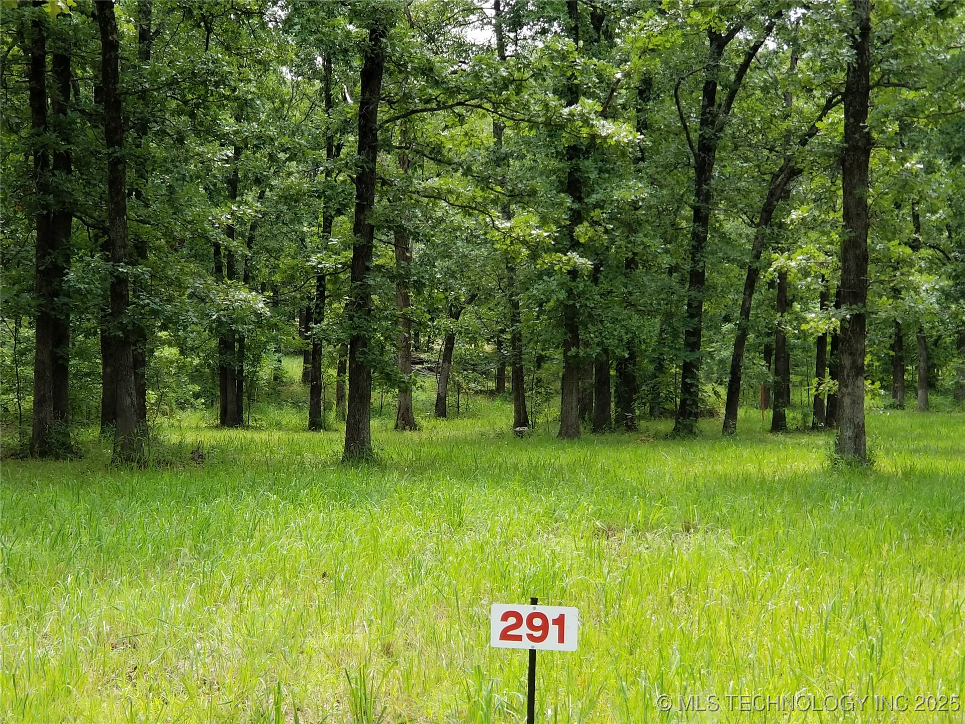 291 Edge Water Road Property Photo 6