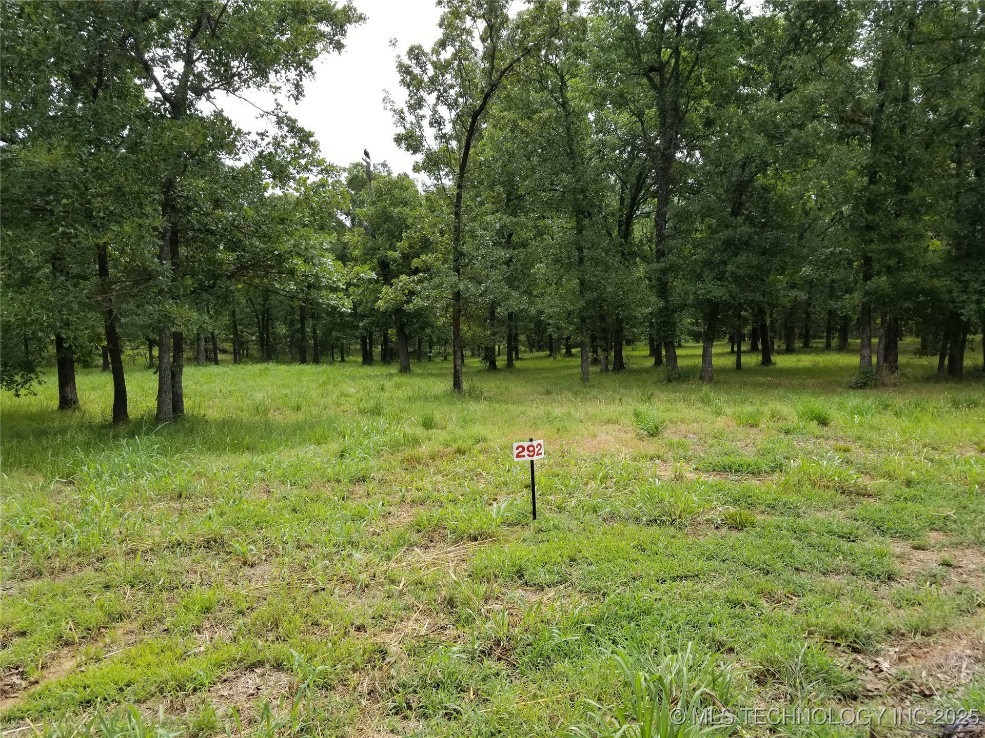 292 Edge Water Road Property Photo 6