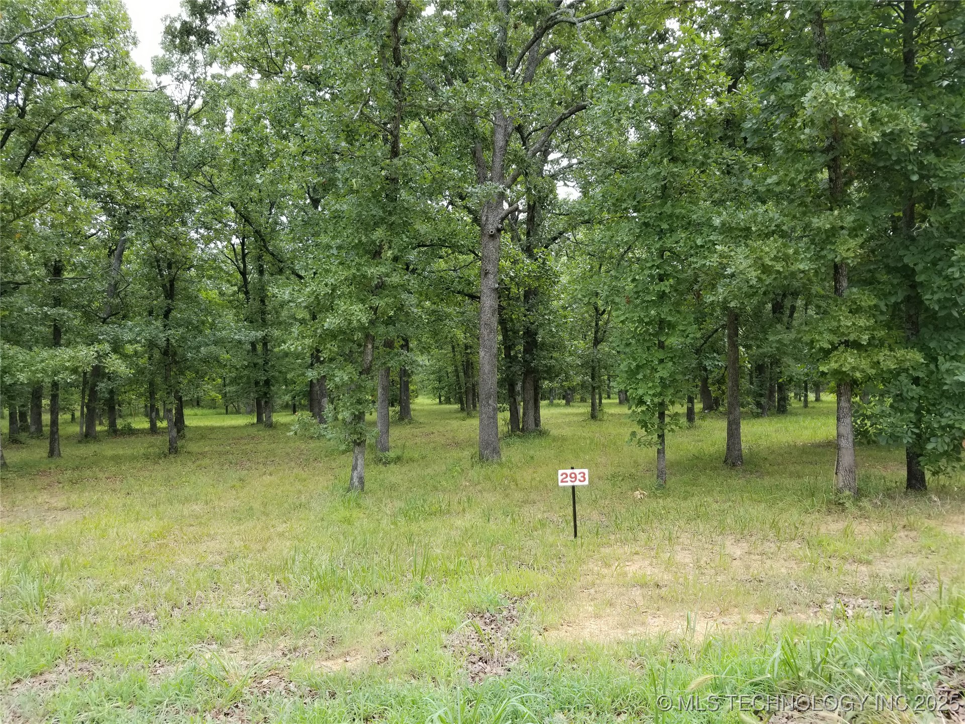 293 Edge Water Road Property Photo 6