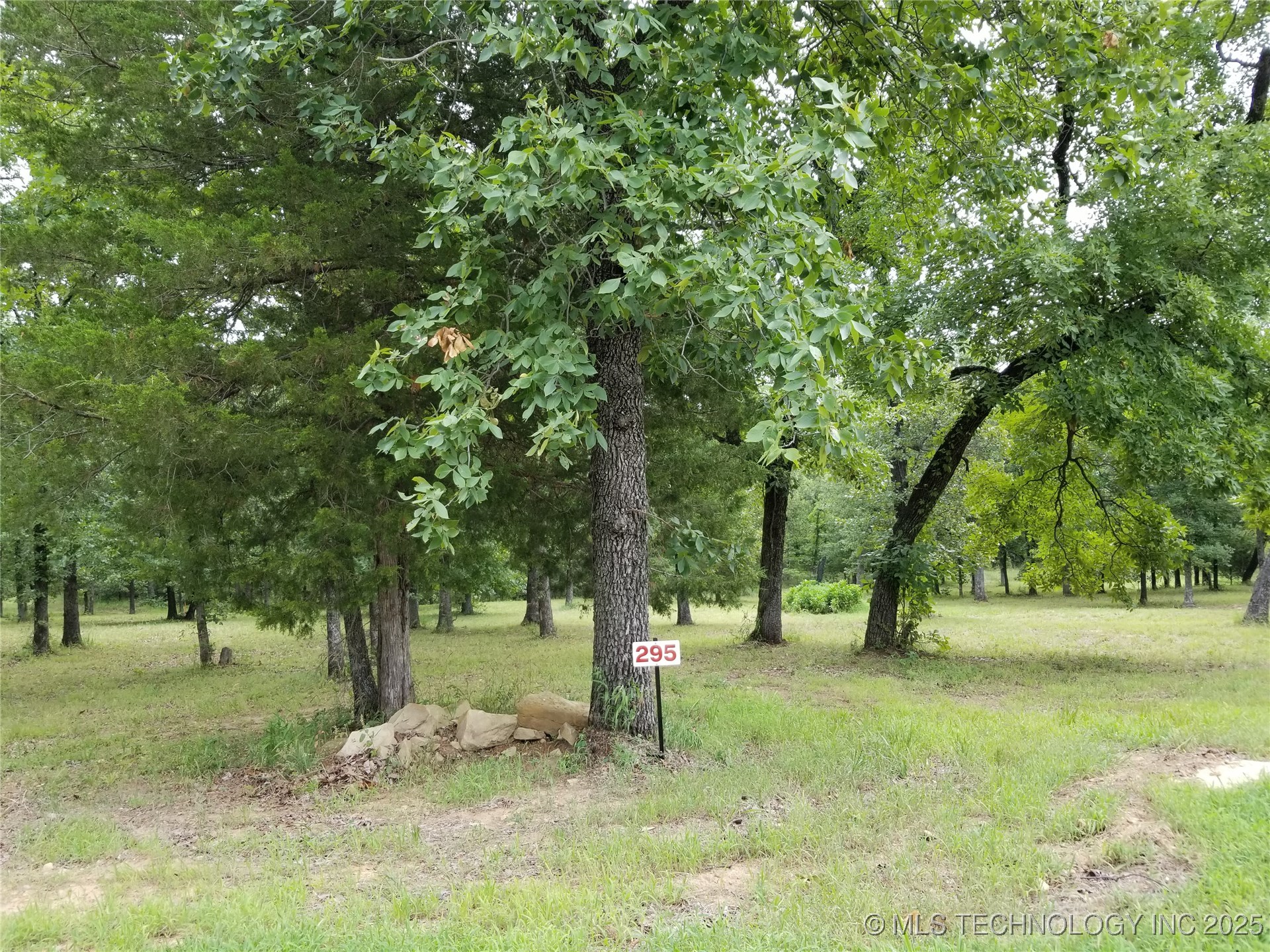 295 Edge Water Road Property Photo 6