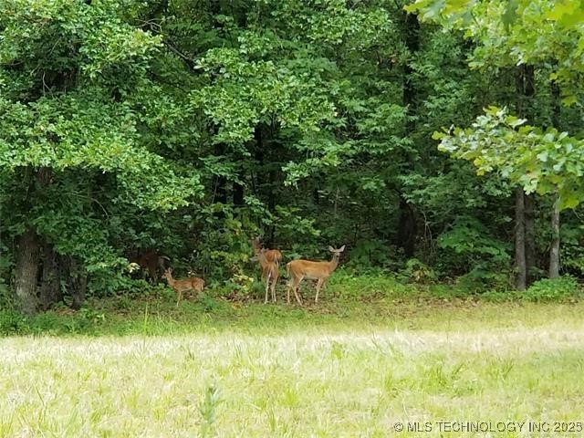 295 Edge Water Road Property Photo 25