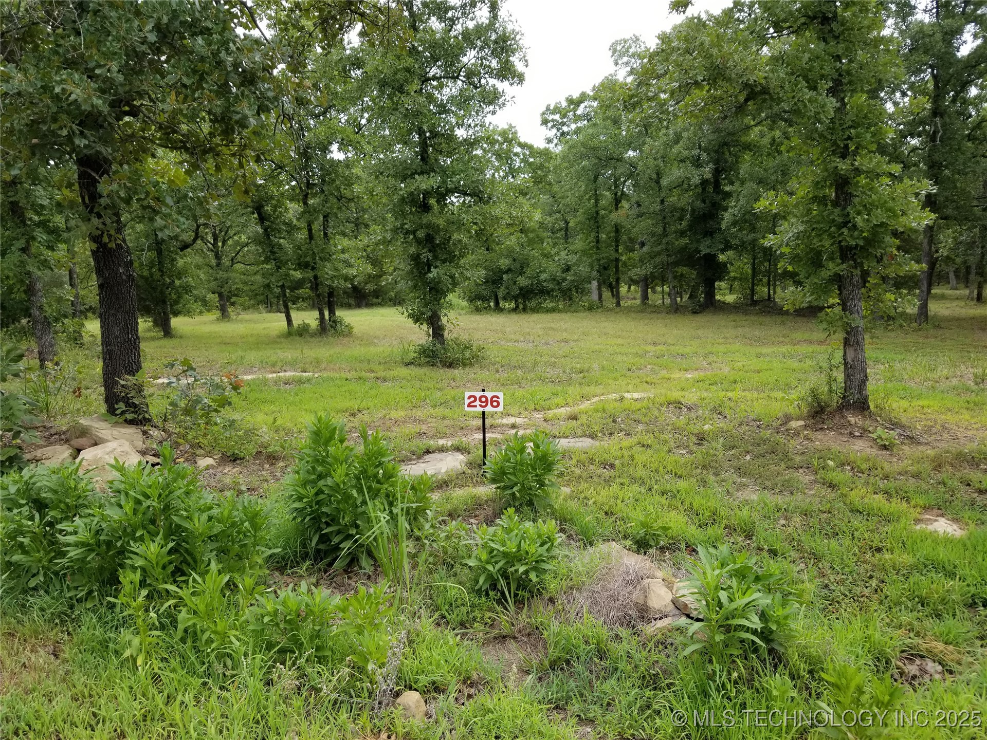 296 Edge Water Road Property Photo 6