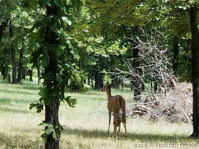 297 Edge Water Road Property Photo 23