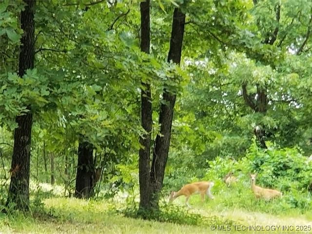 386 Edge Water Road Property Photo 23