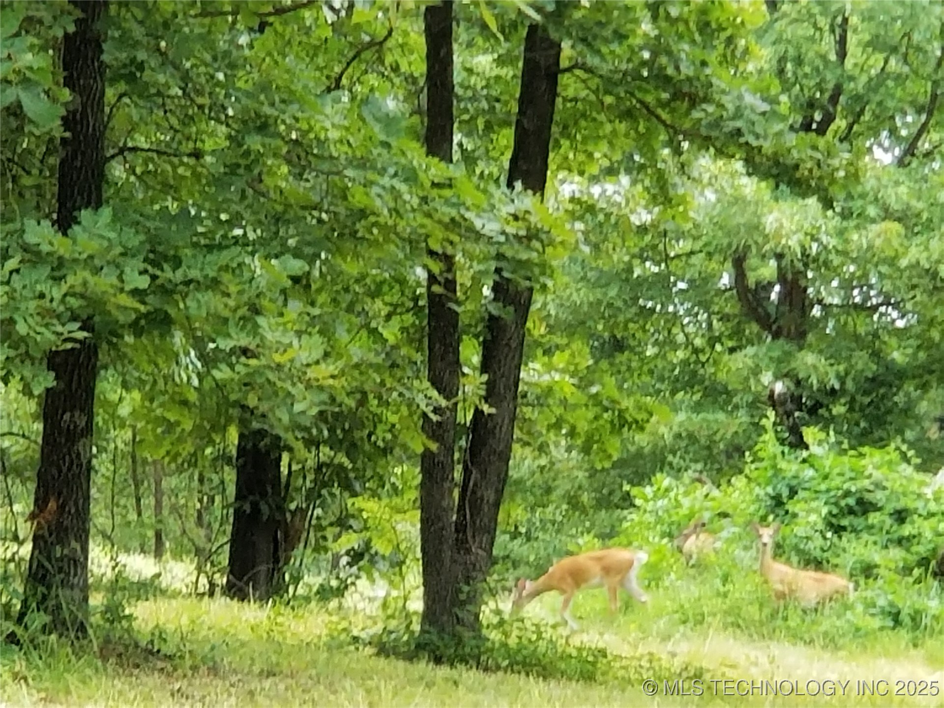 58 Edge Water Road Property Photo 24