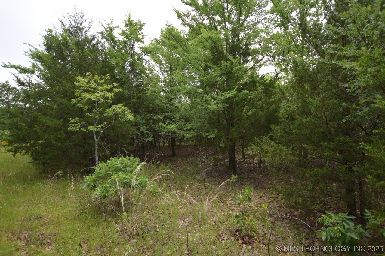 8 Darcy Lane Property Photo 5