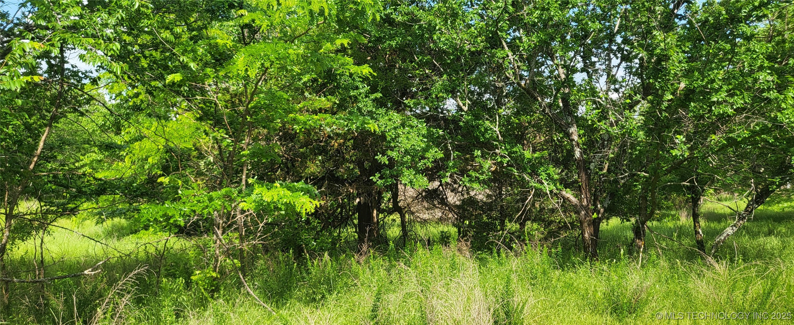 Oak Property Photo 3