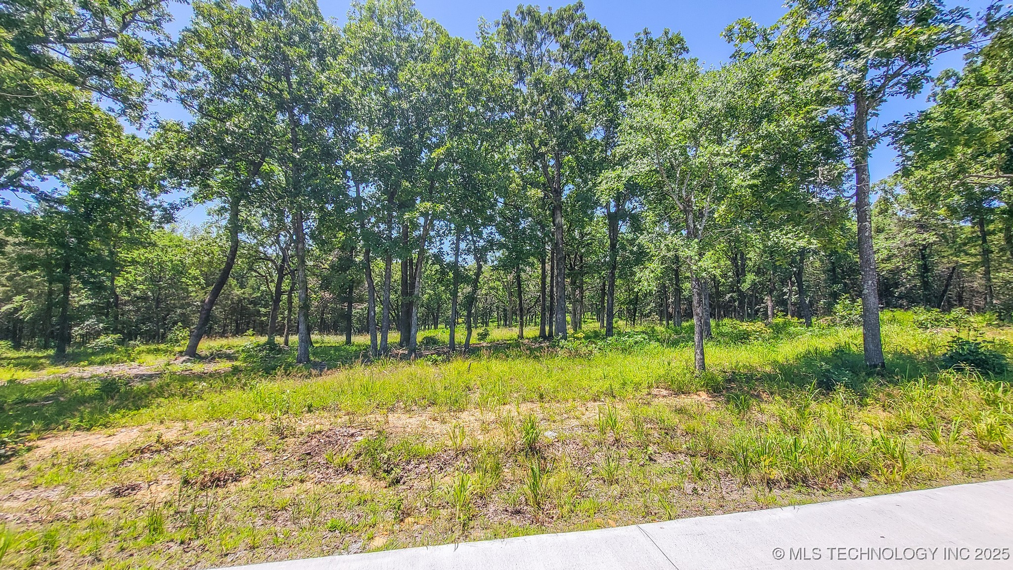 136 Patriot Pointe Property Photo 14