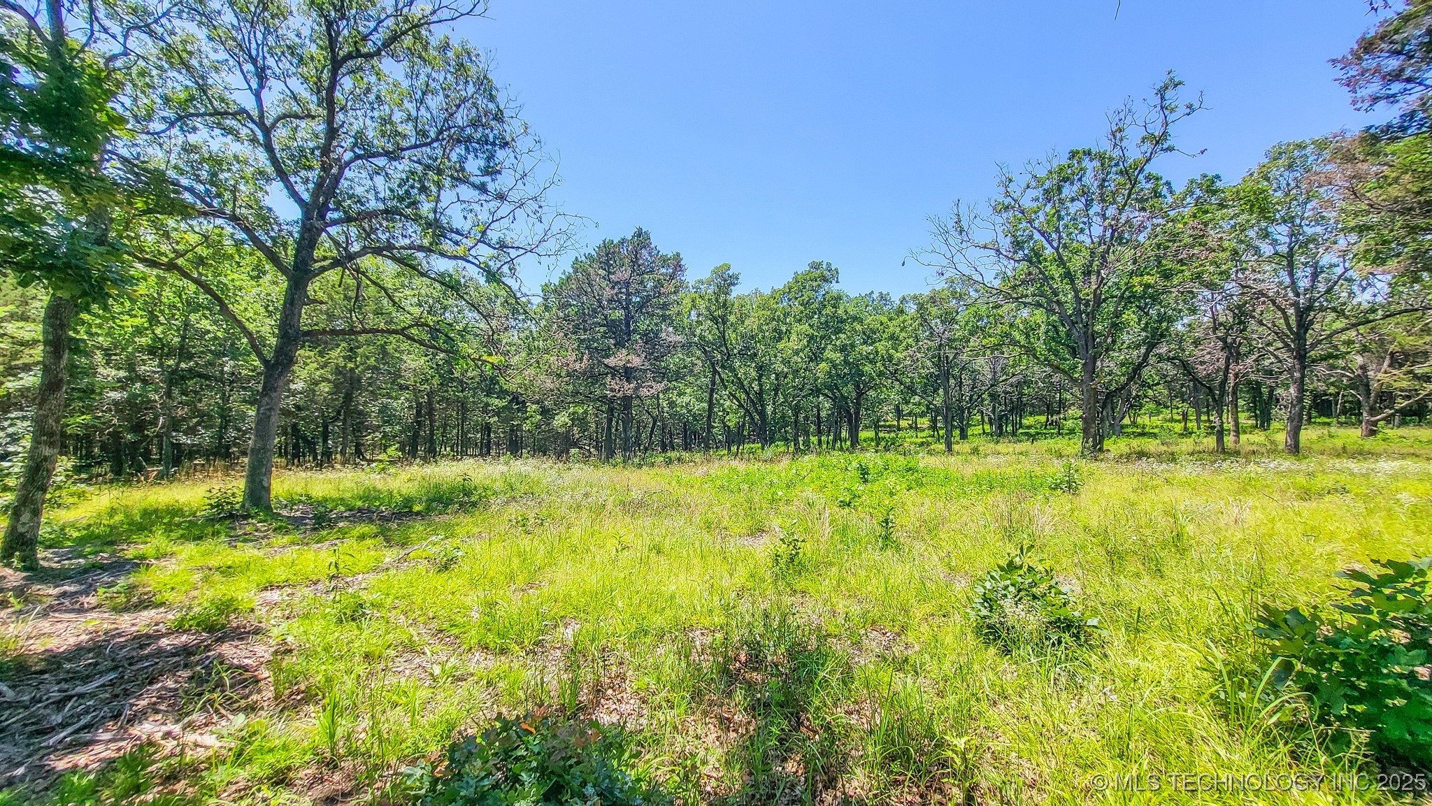 136 Patriot Pointe Property Photo 15