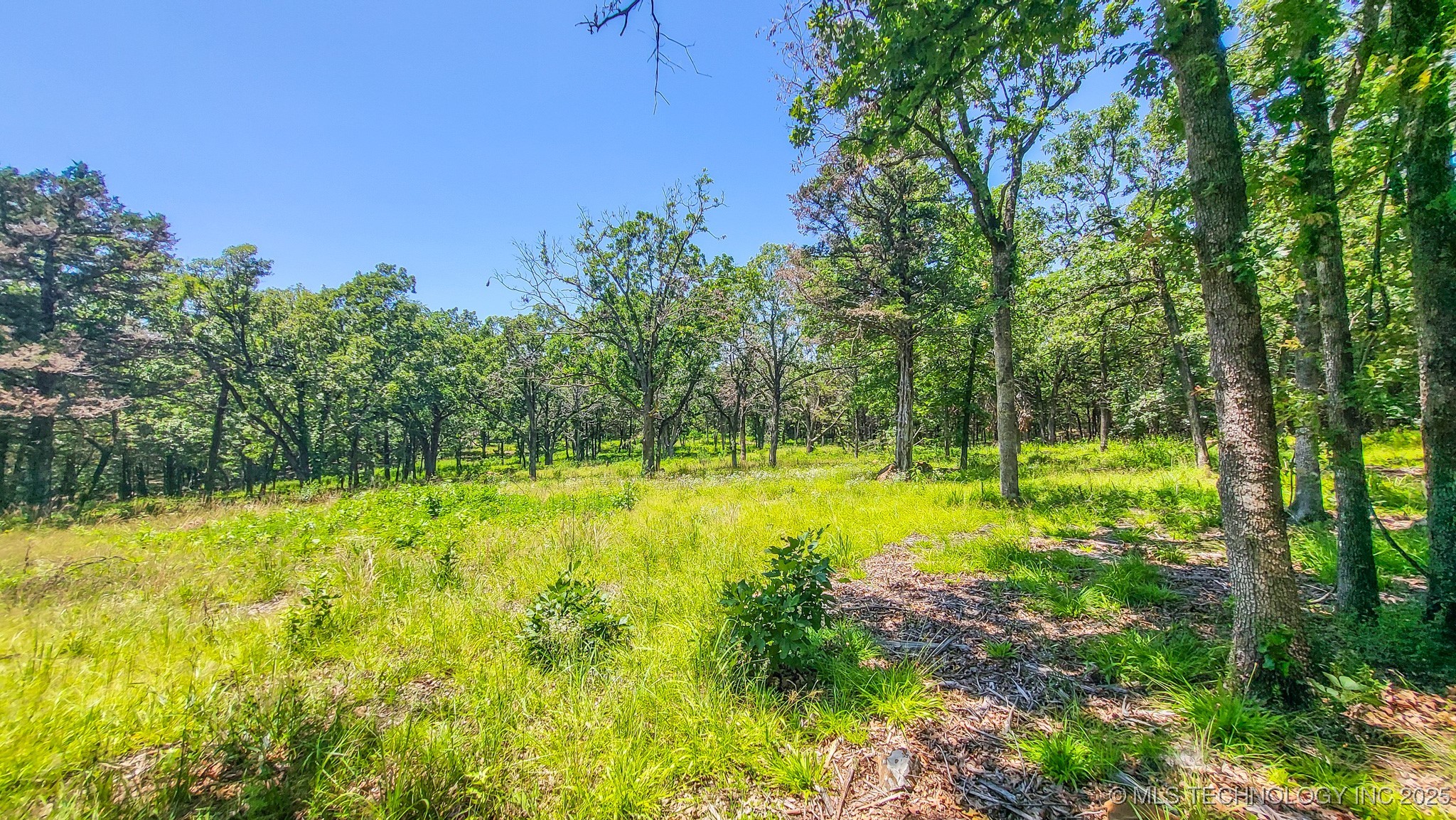 136 Patriot Pointe Property Photo 16