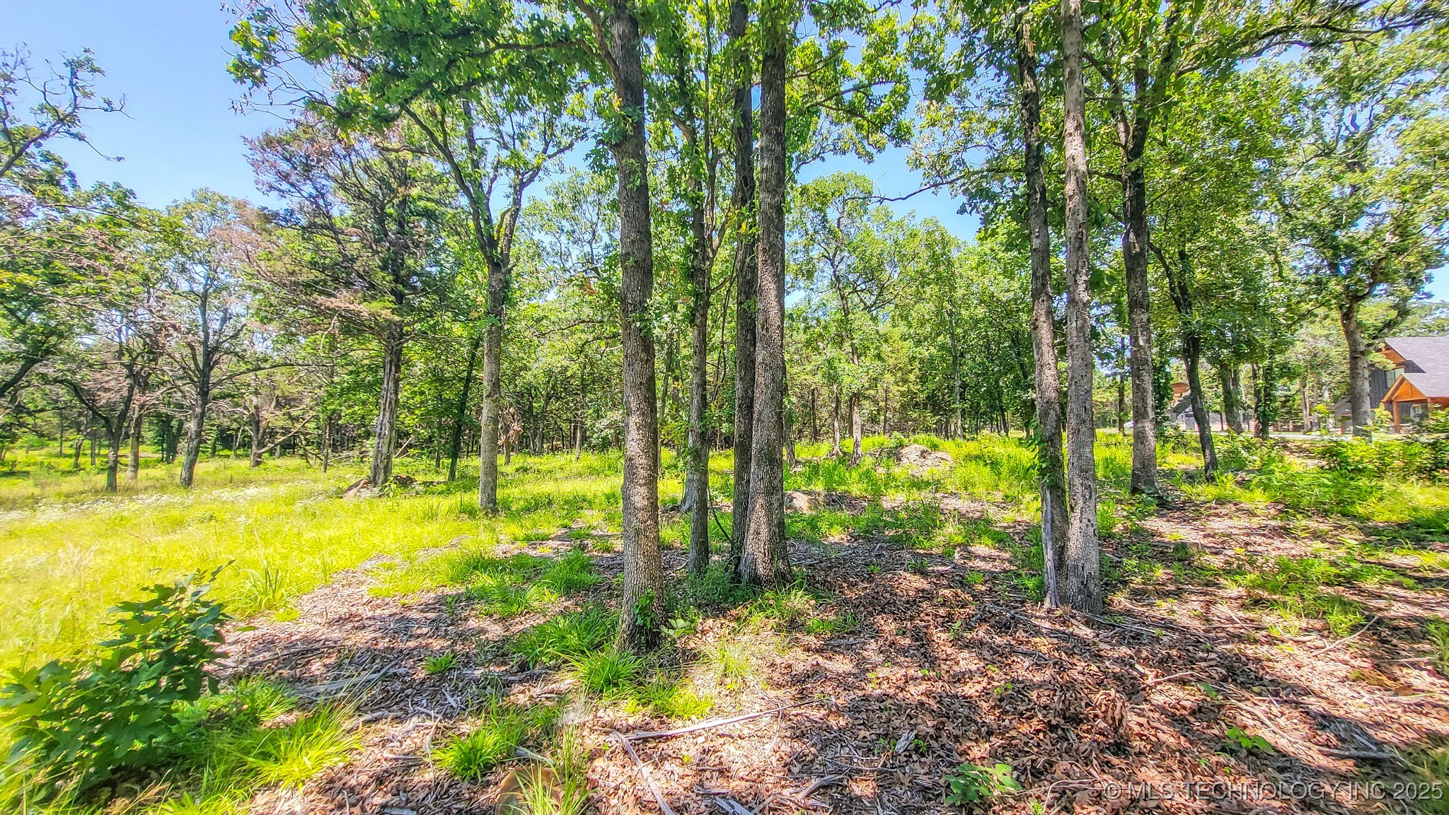 136 Patriot Pointe Property Photo 17