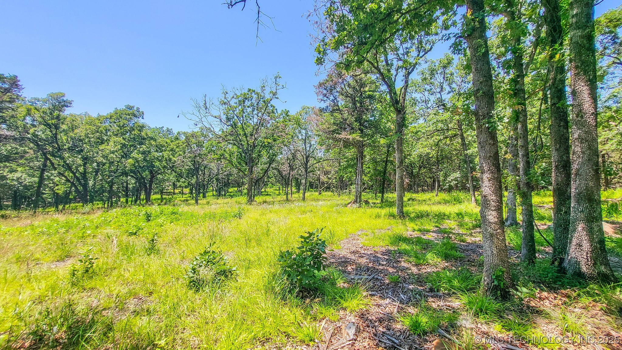 136 Patriot Pointe Property Photo 18