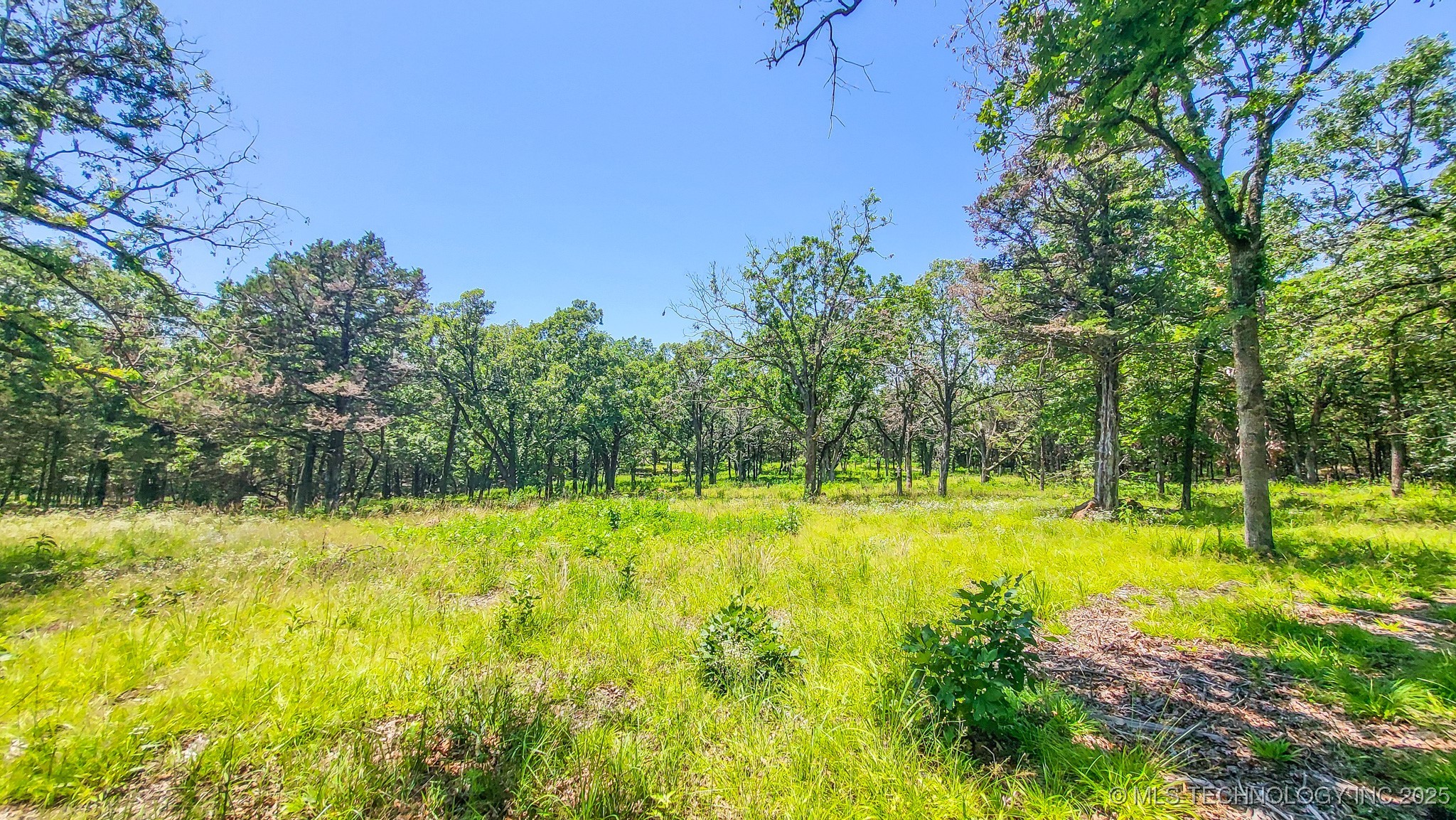 136 Patriot Pointe Property Photo 19