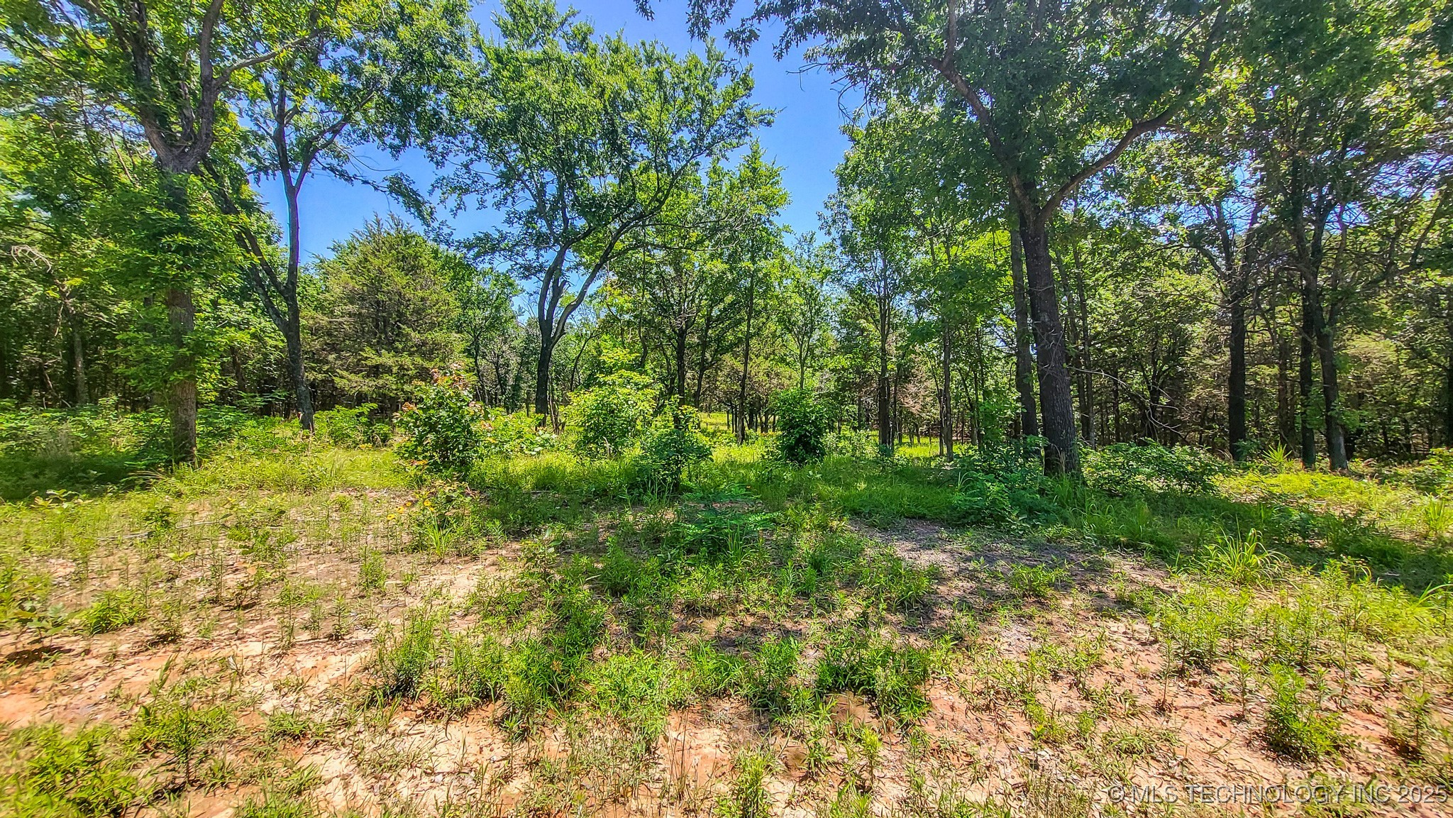 139 Patriot Pointe Property Photo 6