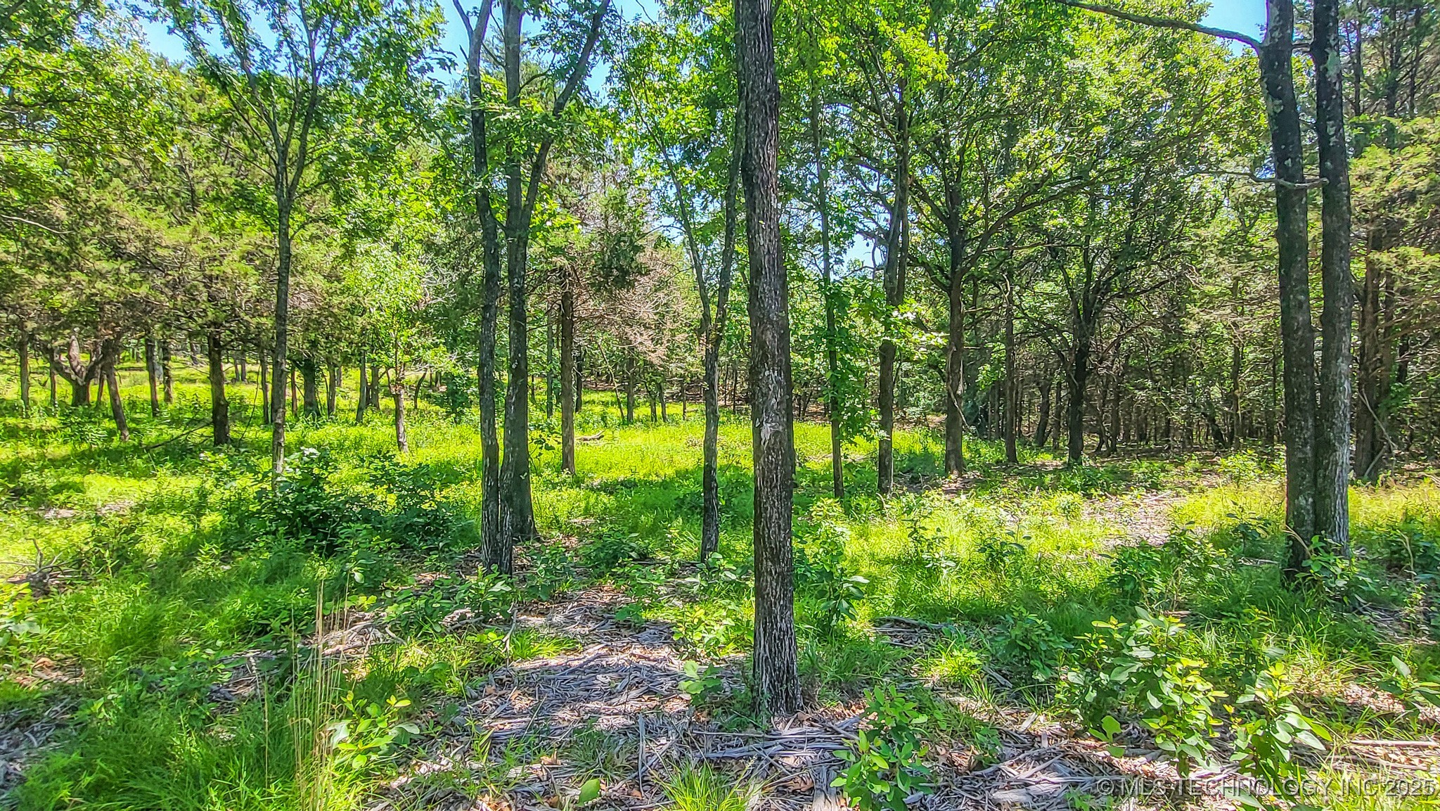 139 Patriot Pointe Property Photo 15