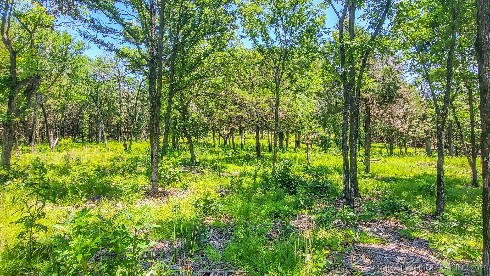 139 Patriot Pointe Property Photo 16