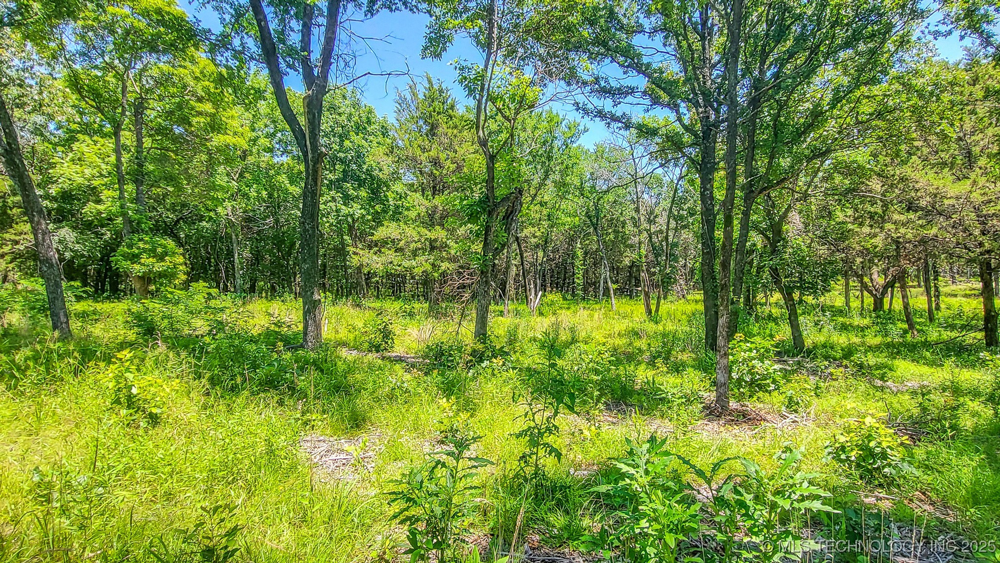 139 Patriot Pointe Property Photo 17