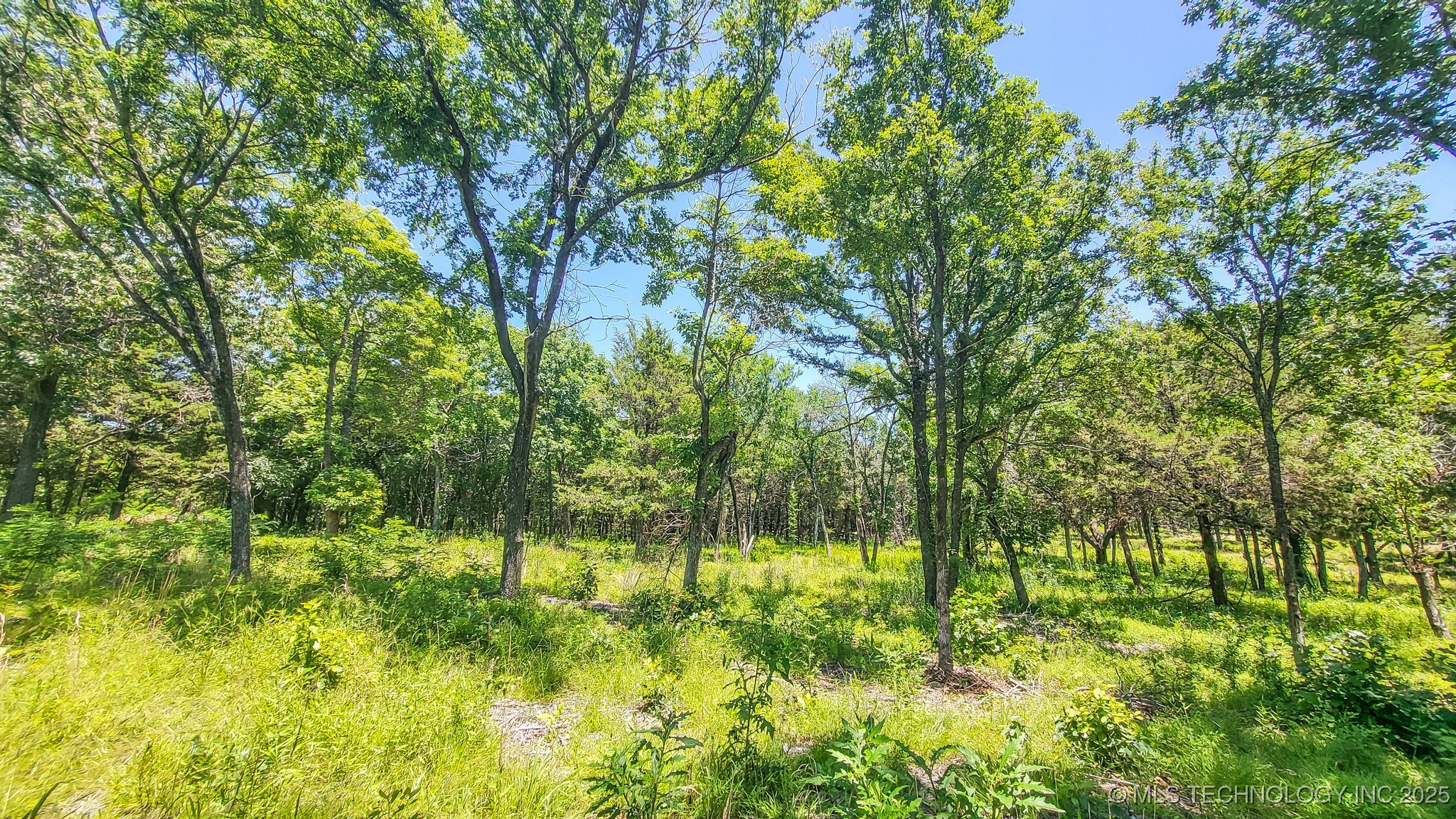 139 Patriot Pointe Property Photo 18