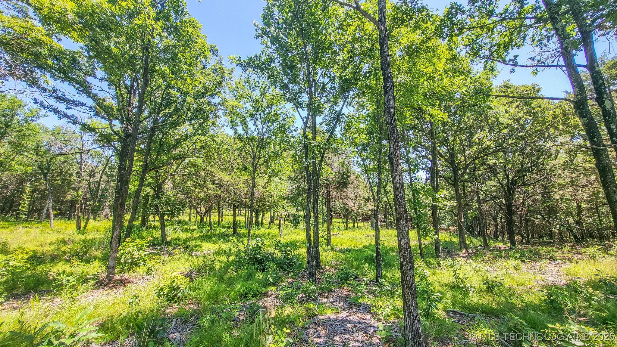 139 Patriot Pointe Property Photo 19