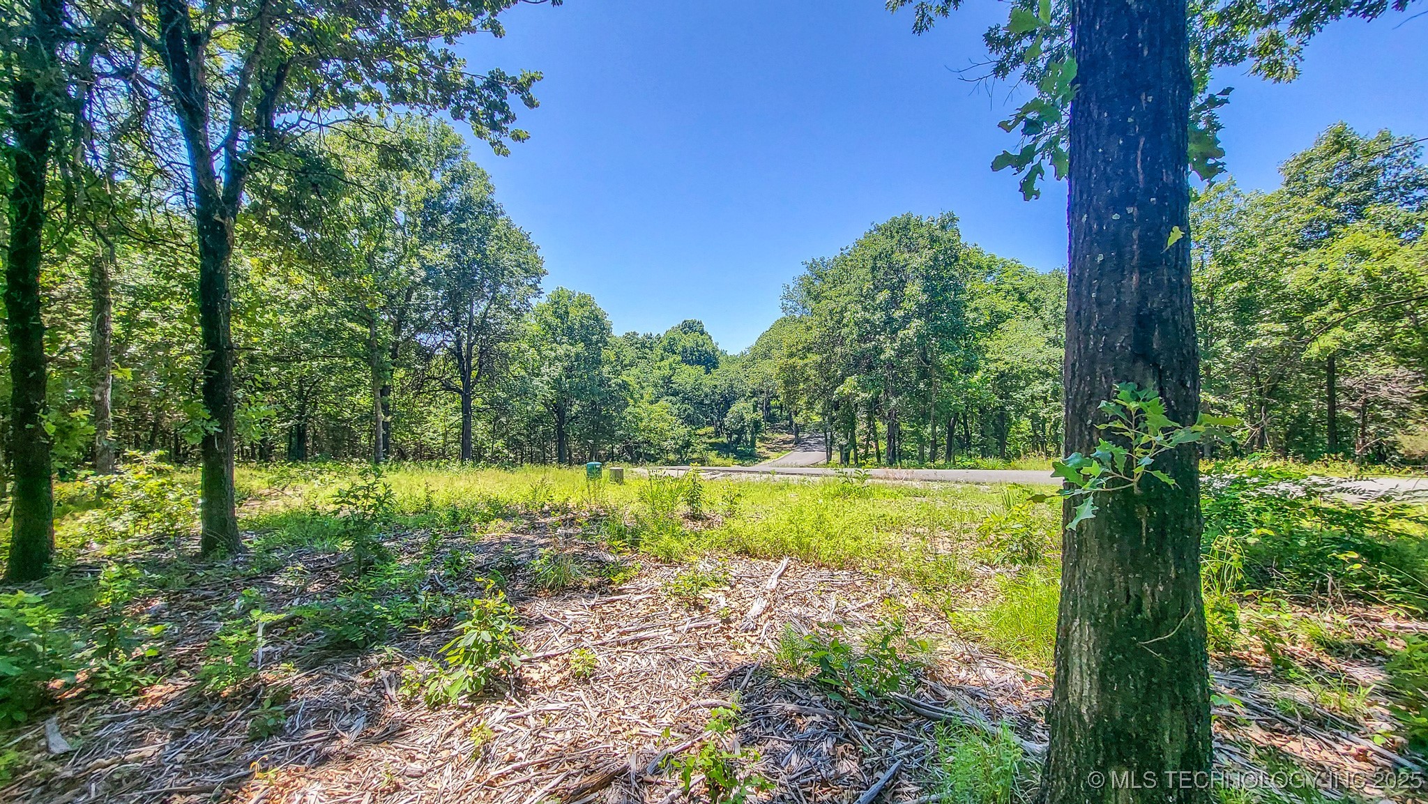 139 Patriot Pointe Property Photo 20