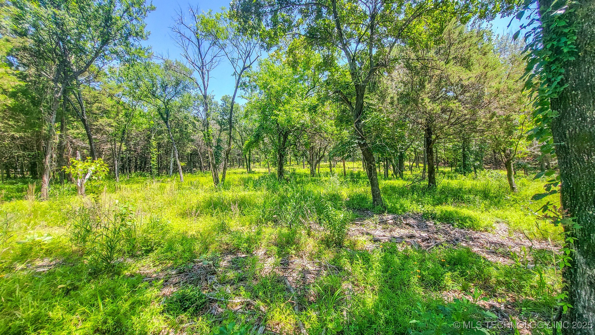 139 Patriot Pointe Property Photo 21