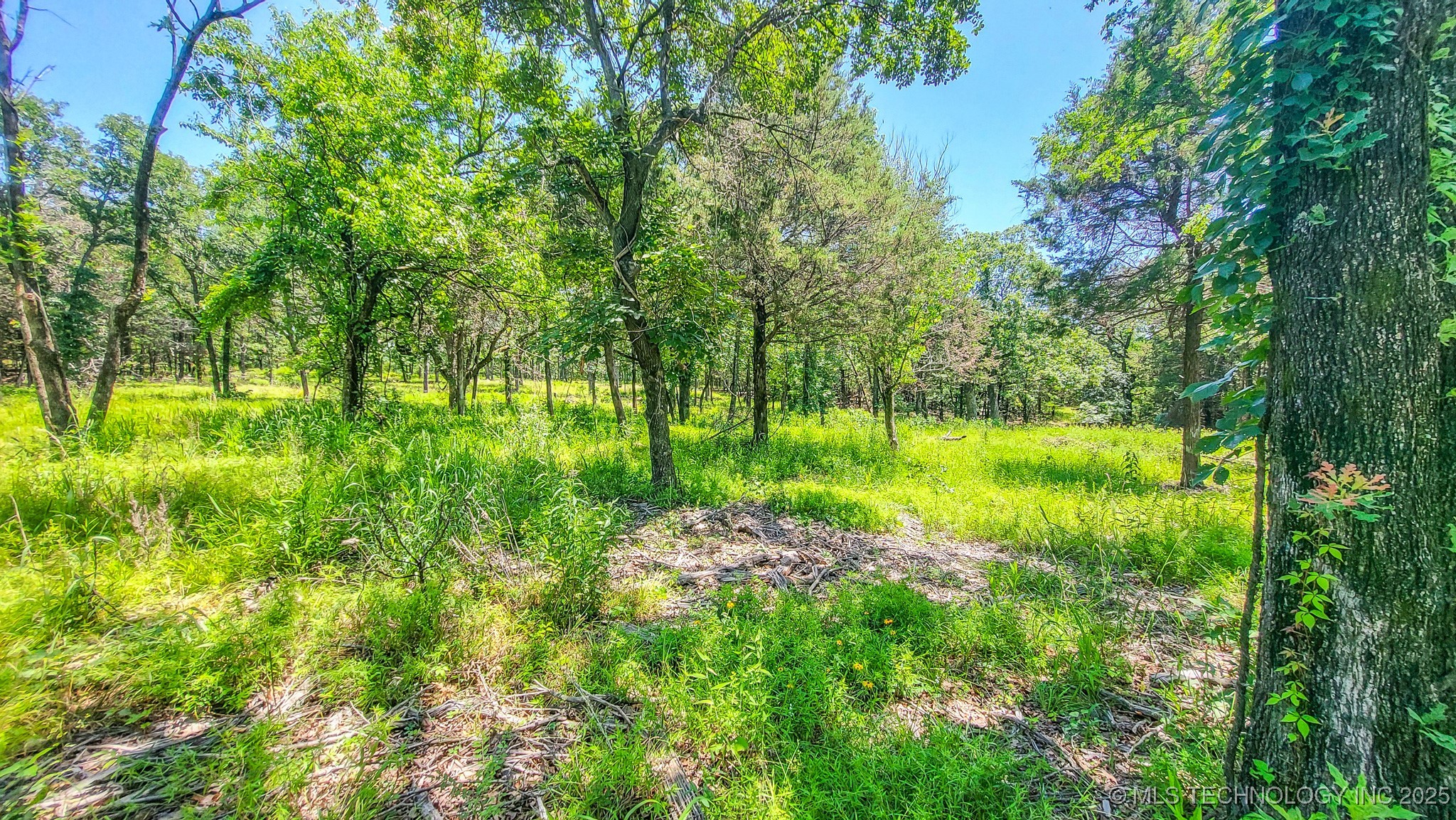 139 Patriot Pointe Property Photo 22