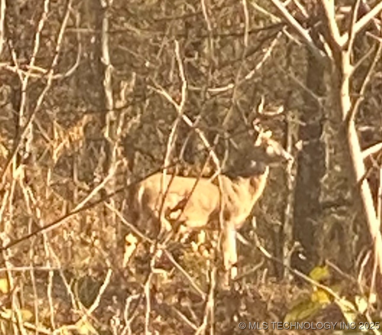 6884 W 440 Property Photo 11