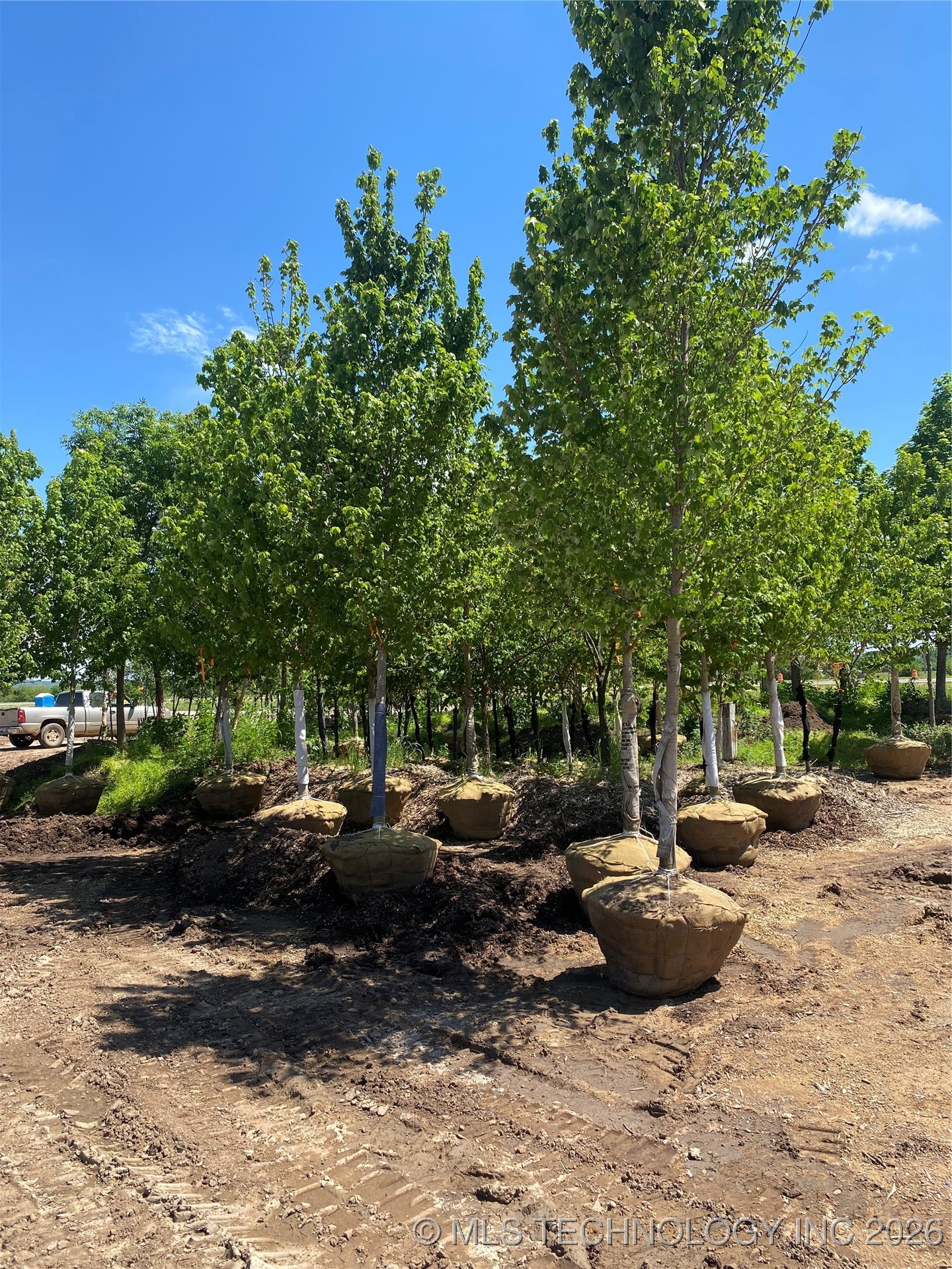 110 N 55th Street East Property Photo 29