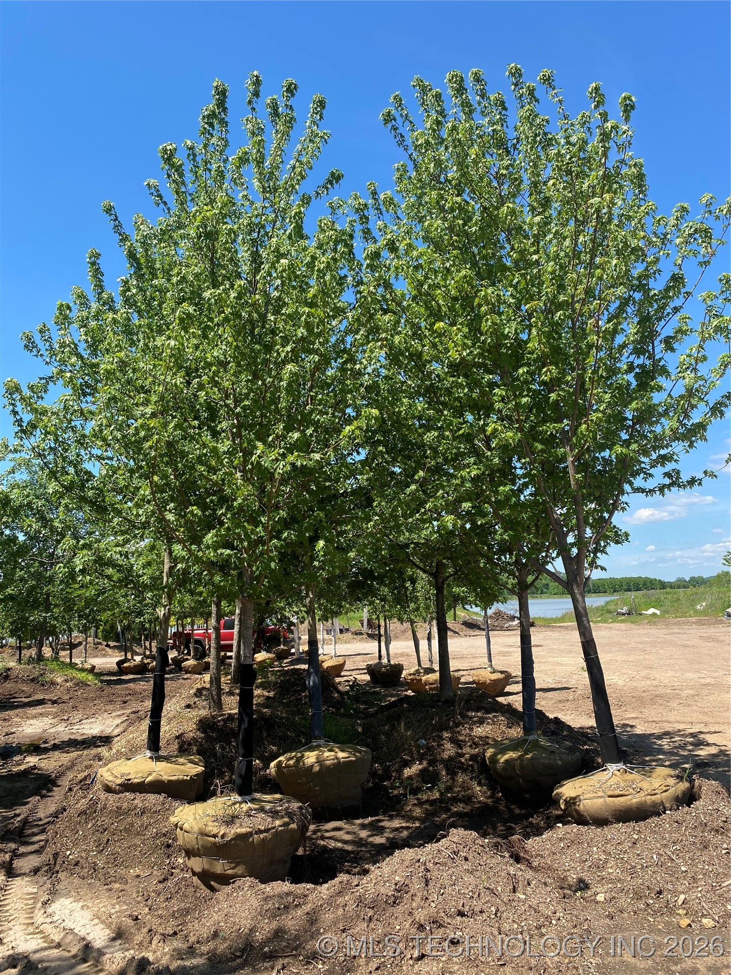 110 N 55th Street East Property Photo 30