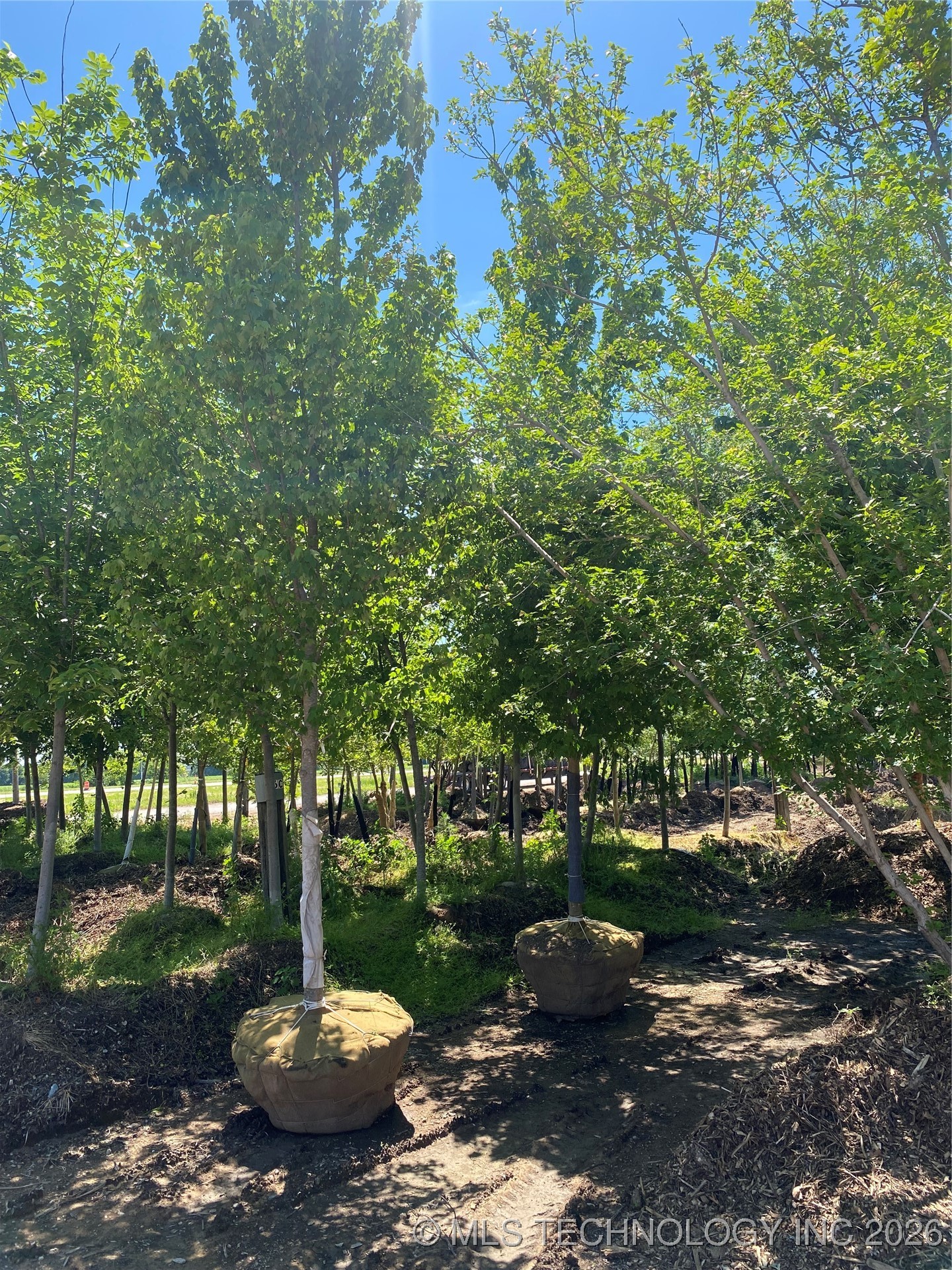 110 N 55th Street East Property Photo 31