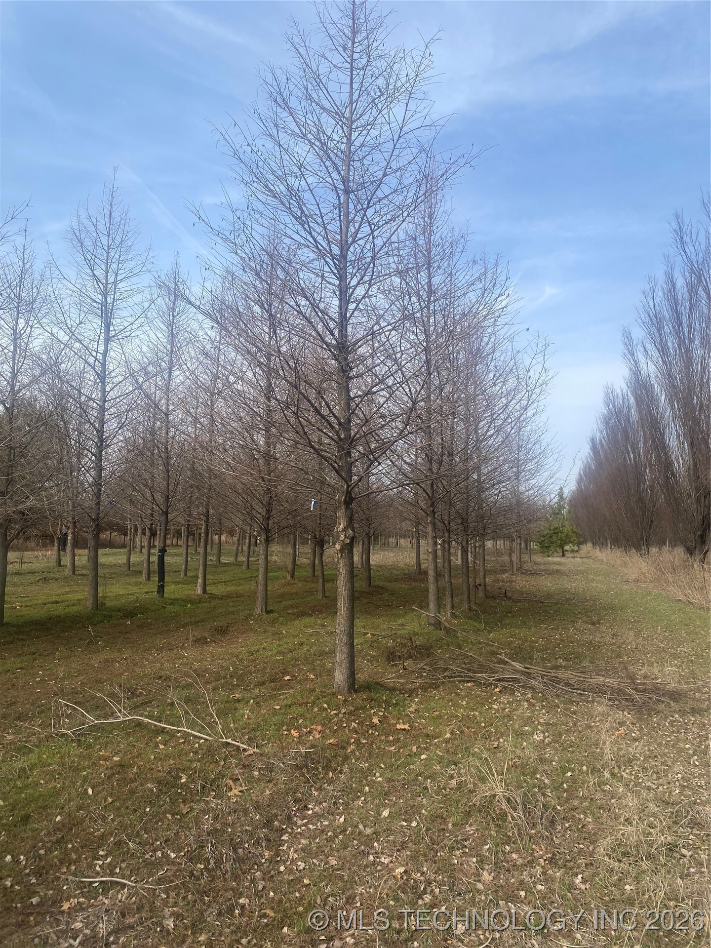 110 N 55th Street East Property Photo 32