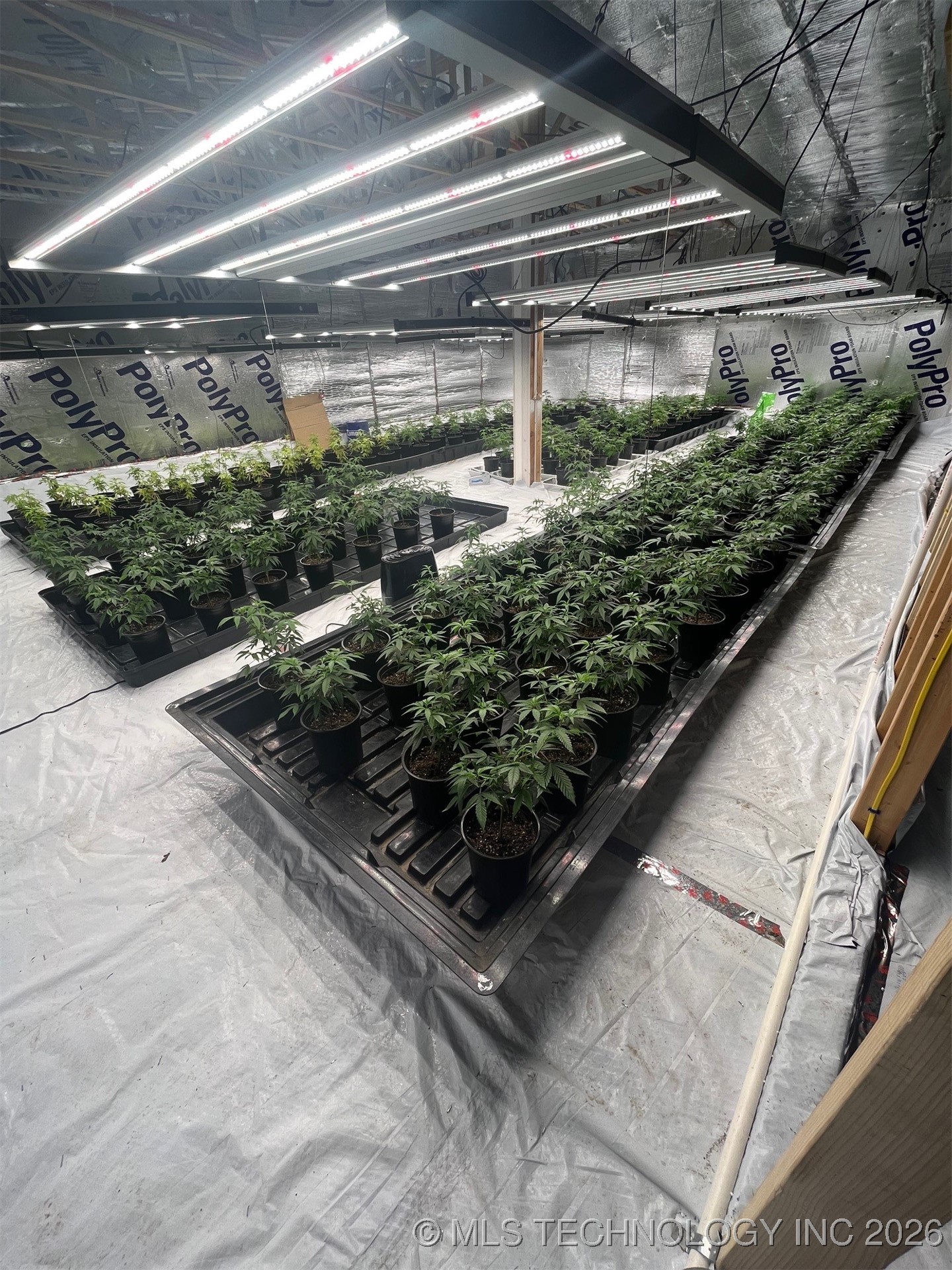 3000 Wildflower Property Photo 20