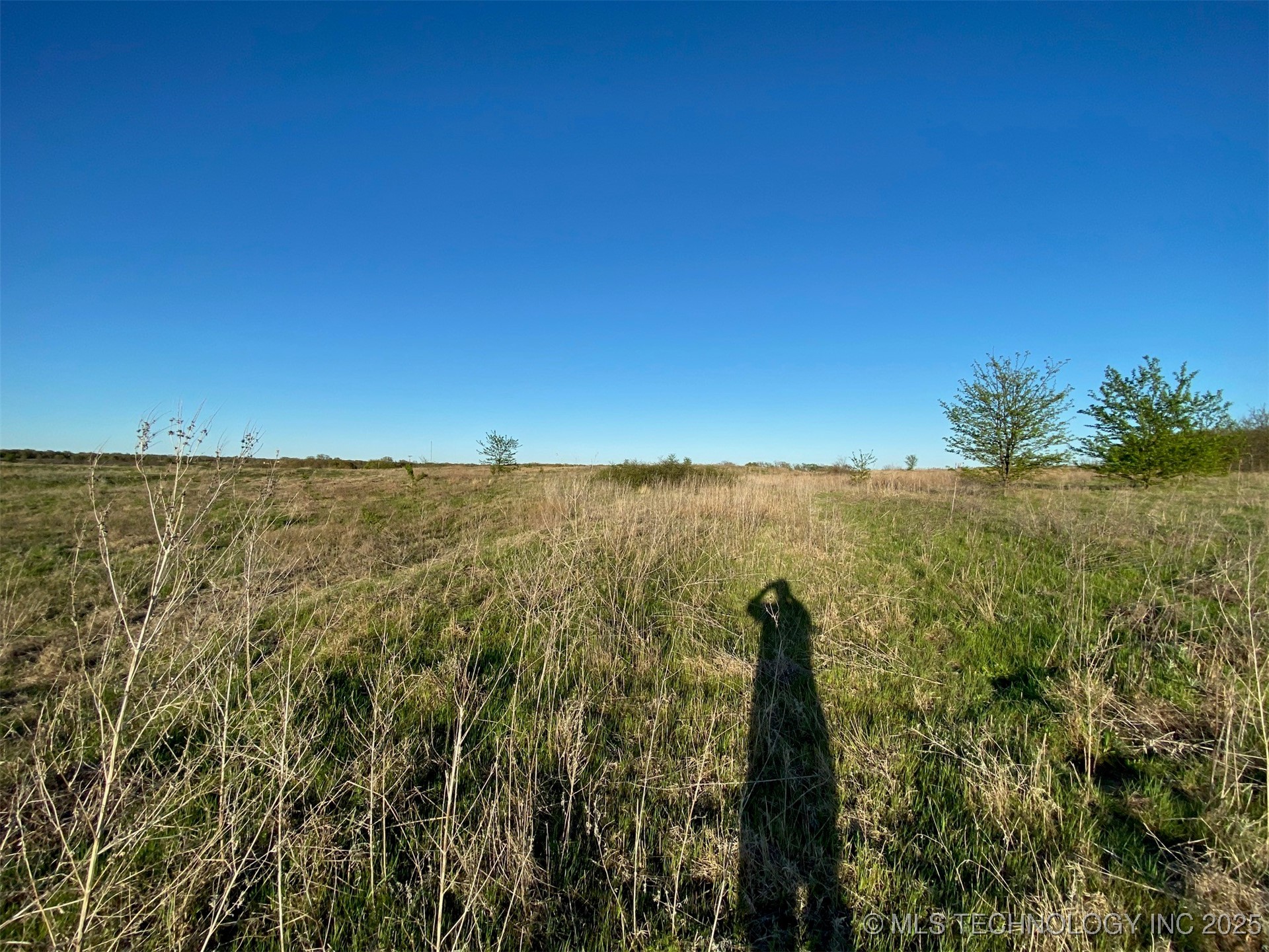 3000 Wildflower Property Photo 28