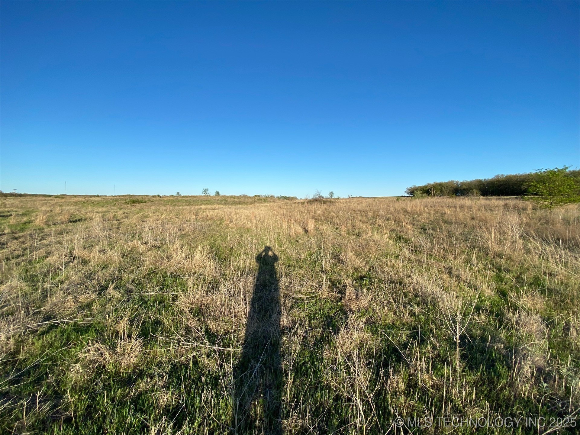 3000 Wildflower Property Photo 30