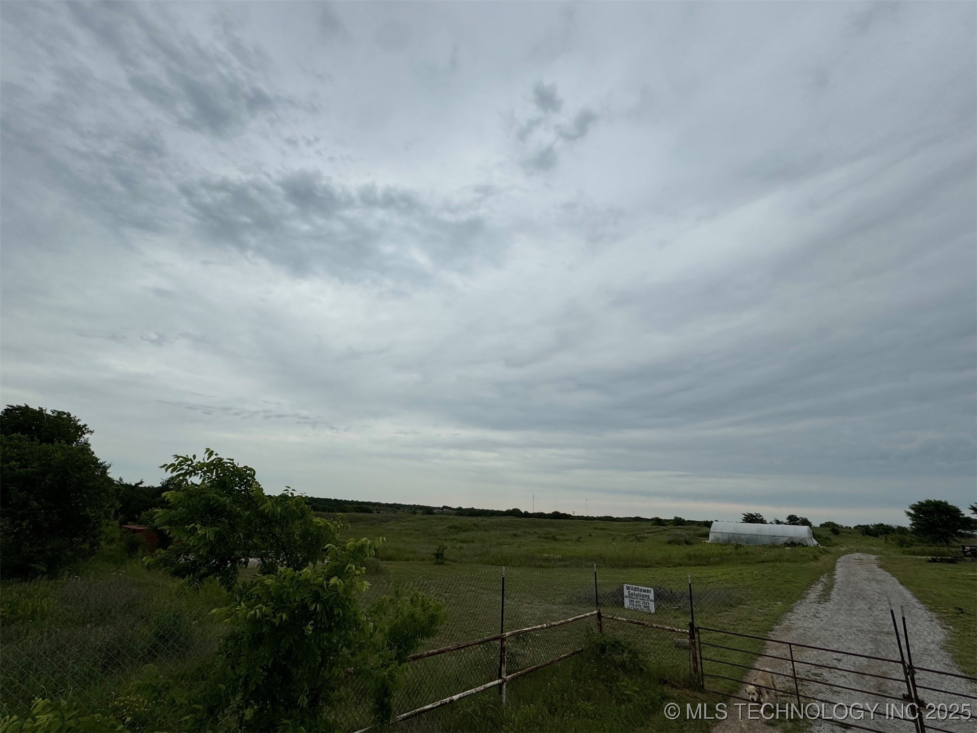 0 Wildflower Property Photo 10