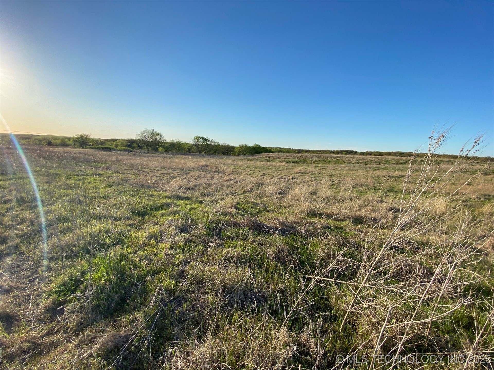 0 Wildflower Property Photo 20