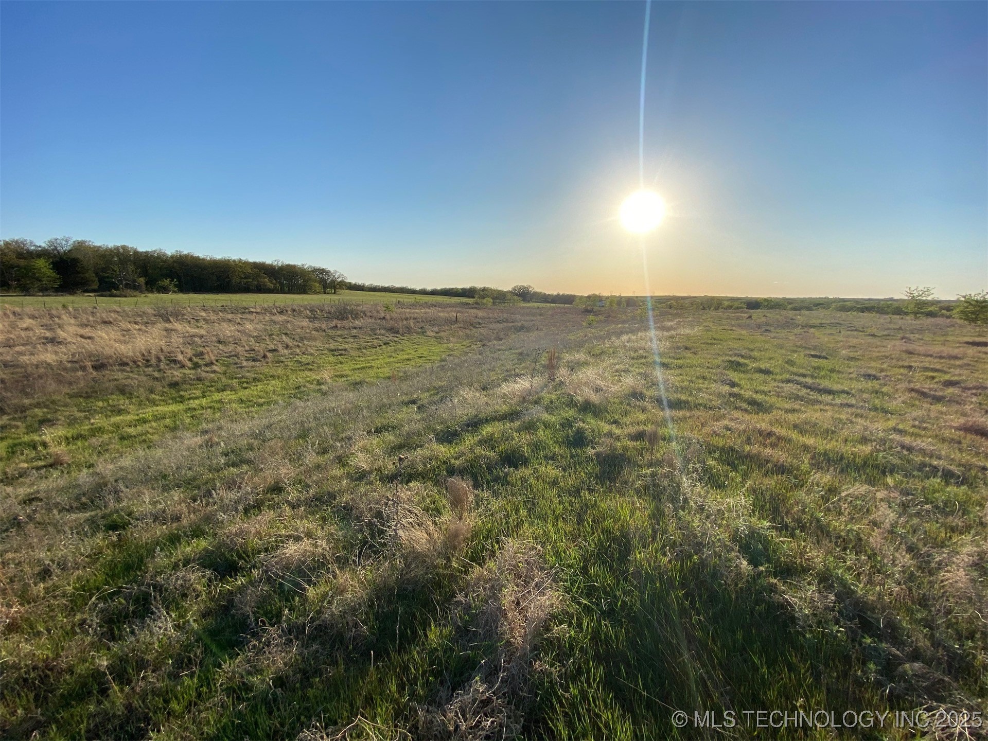 0 Wildflower Property Photo 22