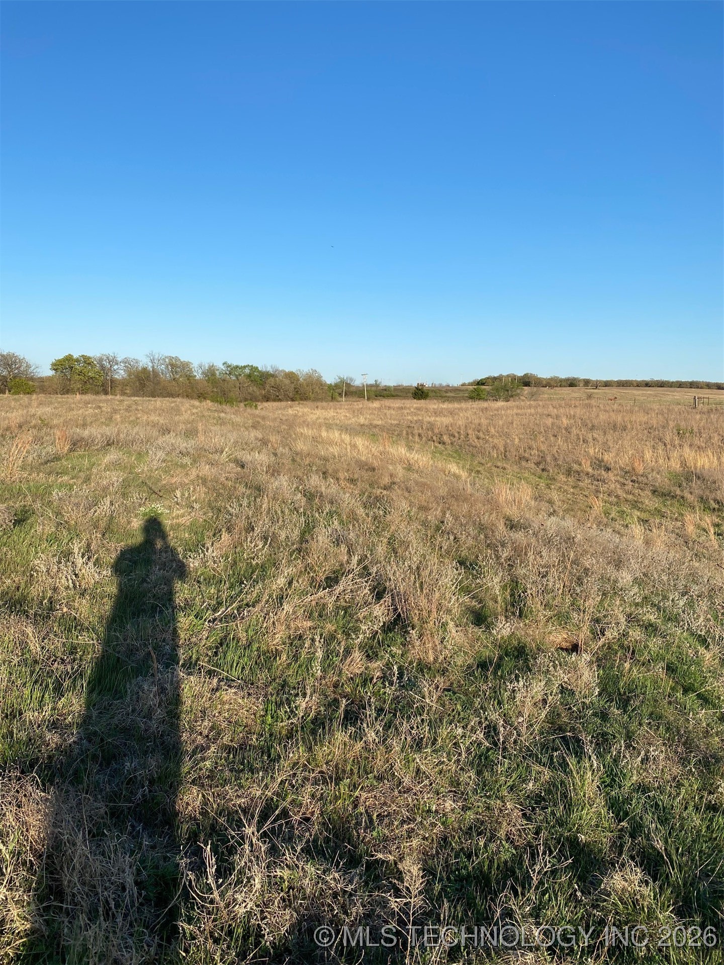 0 Wildflower Property Photo 23