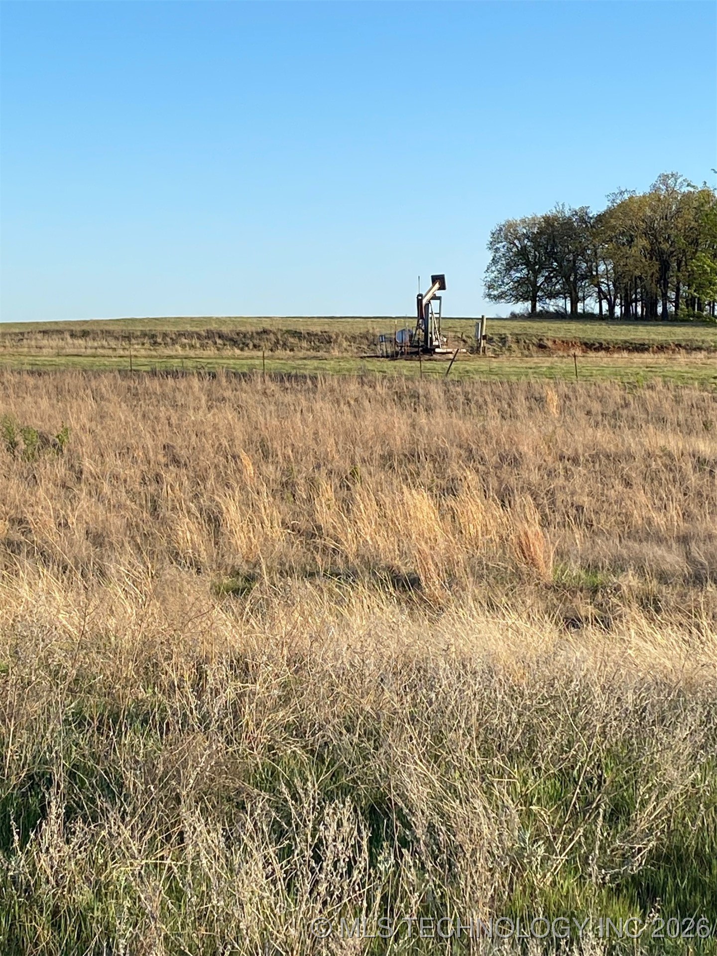 0 Wildflower Property Photo 24