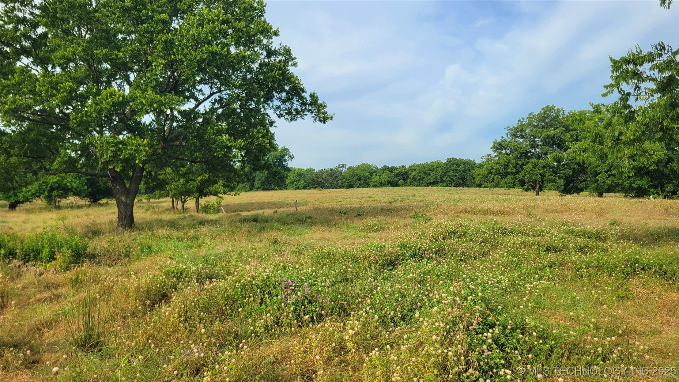 9725 County Road 3470 Property Photo 2