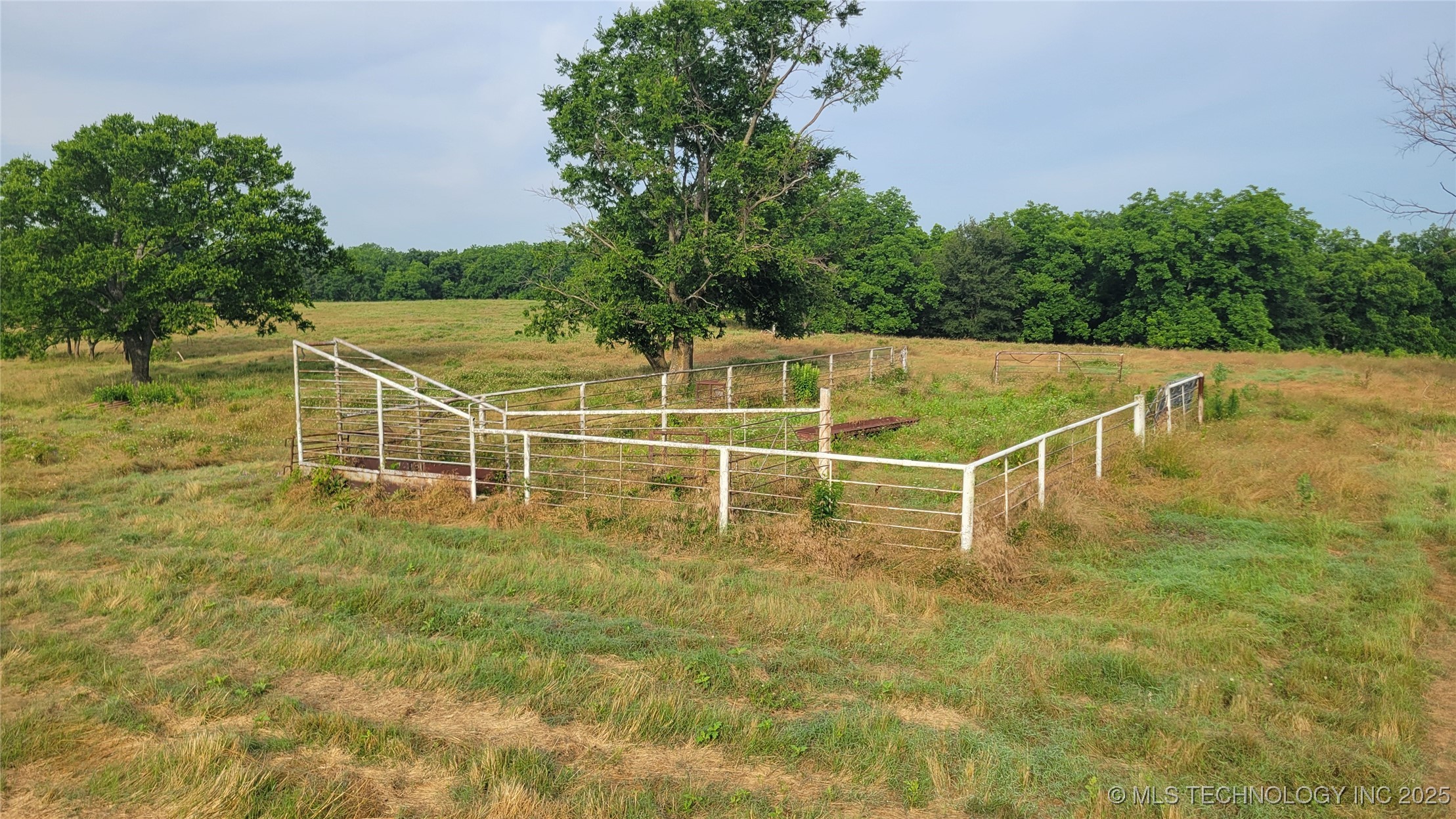 9725 County Road 3470 Property Photo 59